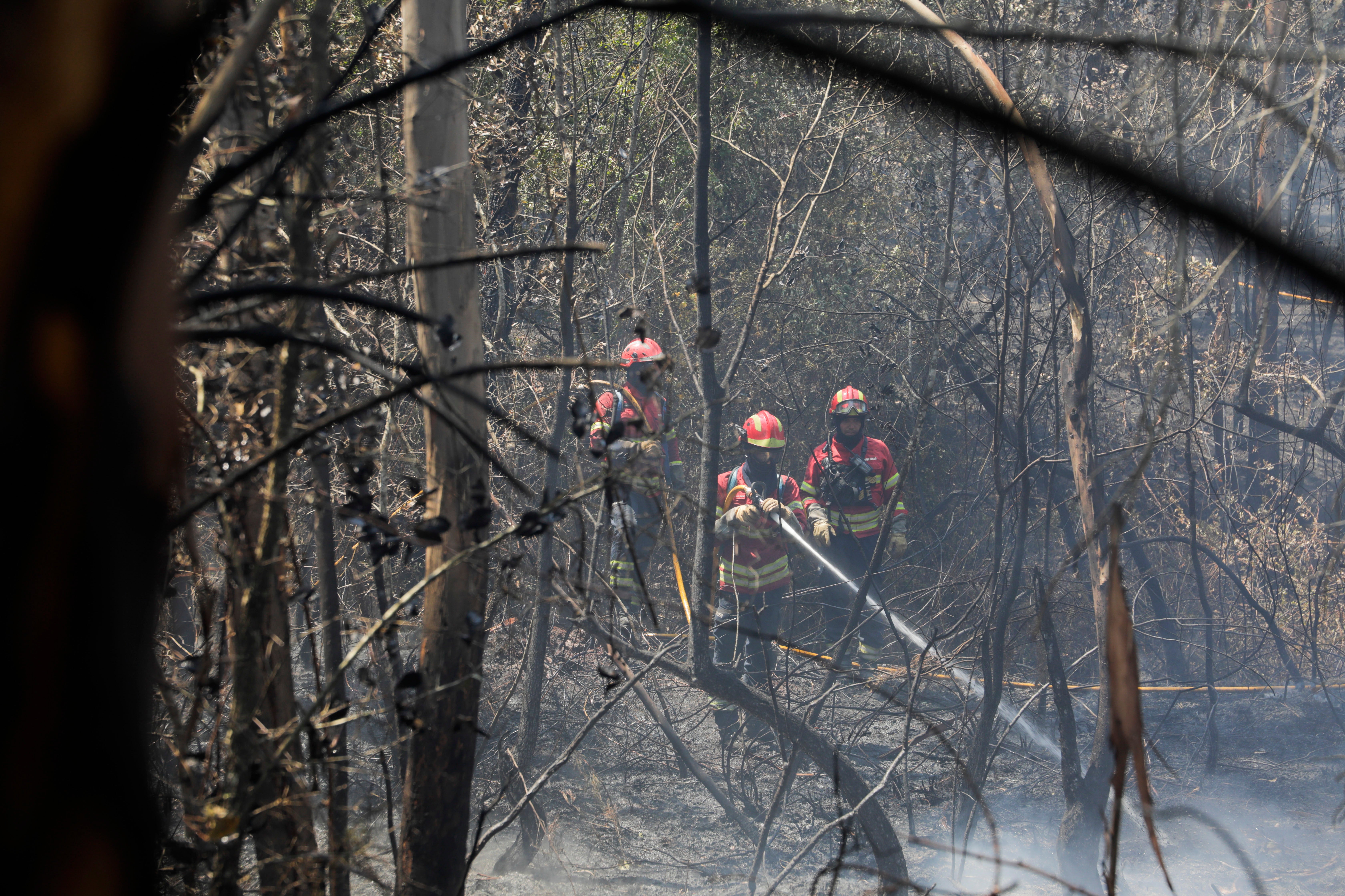 Firefighters work to battle the forest fires on Saturday