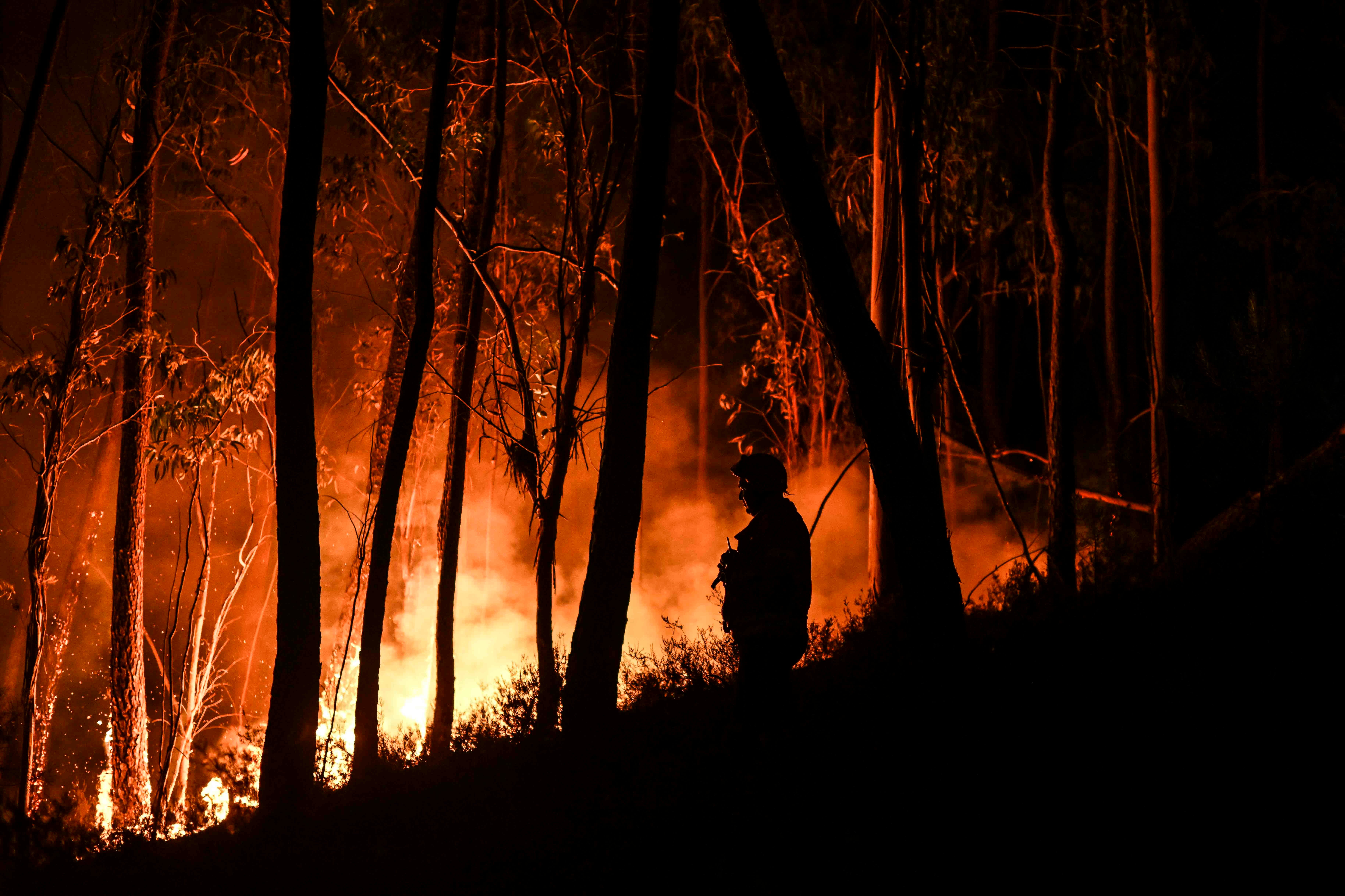 A firefighter tackles a wildfire at Casais do Vento in Alvaiazere