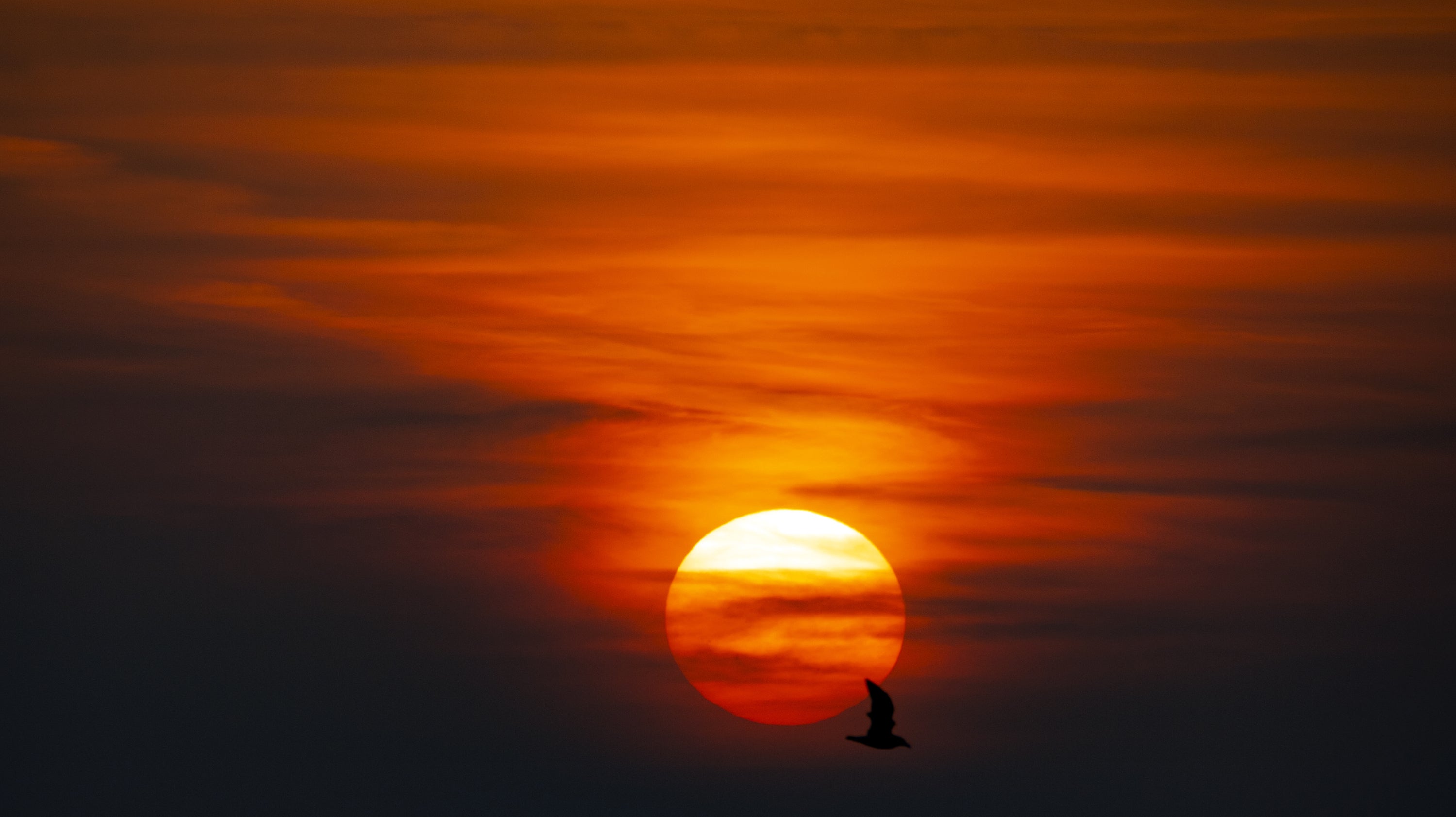 Climate change is pushing up summer temperatures and the UK urgently needs to adapt to a future with more heatwaves, experts have warned (Peter Byrne/PA)