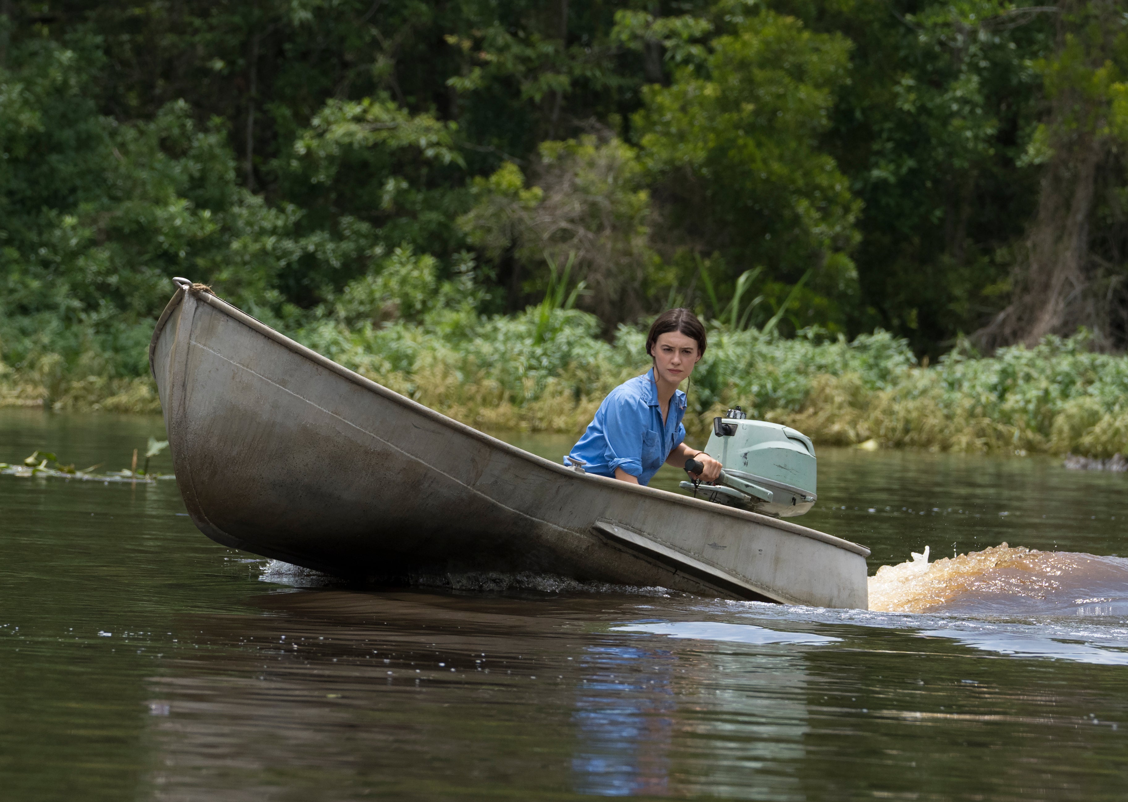 Film Review - Where the Crawdads Sing