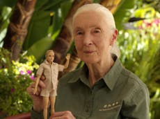 Barbie unveils new Dr Jane Goodall doll in honour of the conservationist