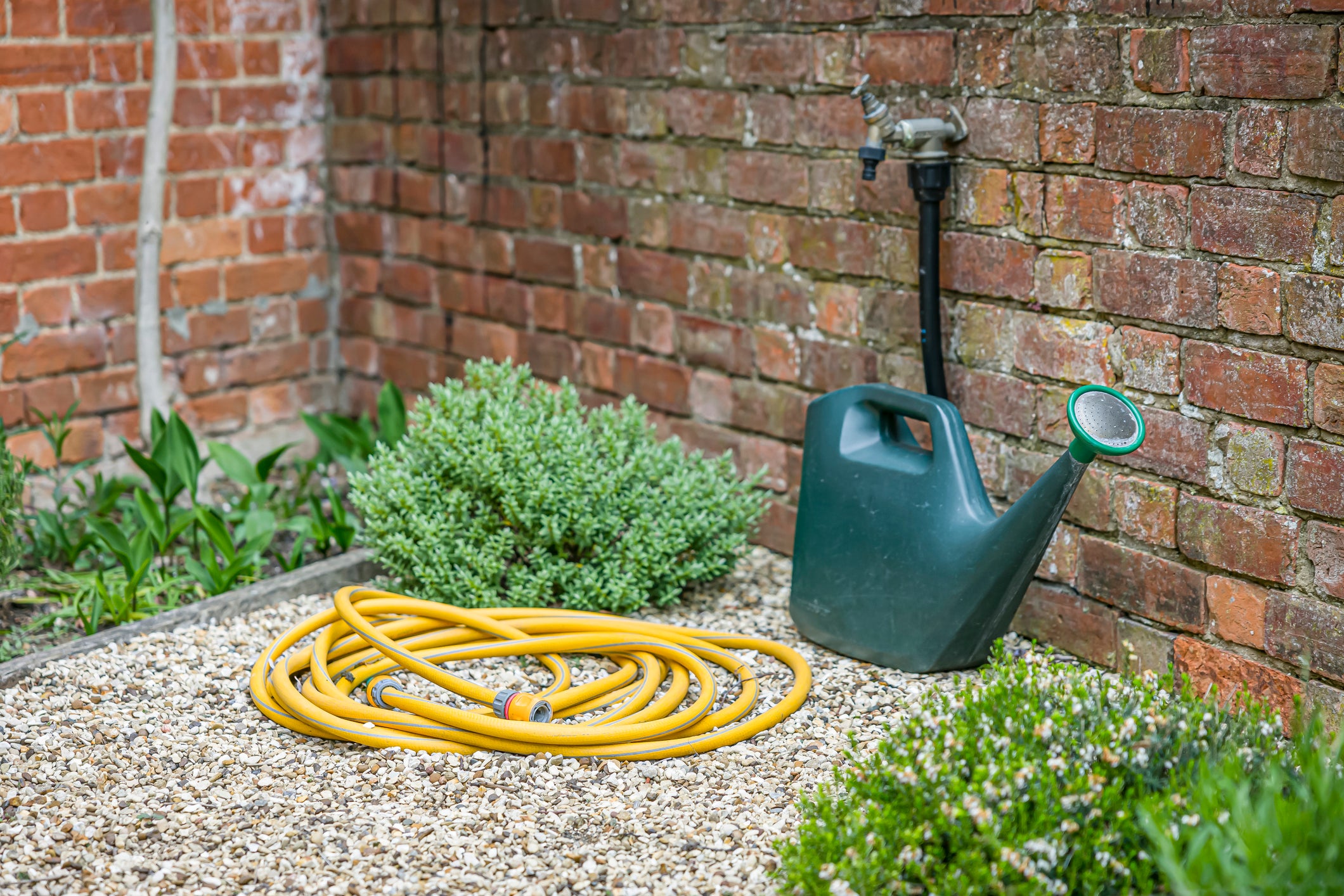 Use a watering can