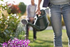 UK heatwave: How to conserve water during a drought