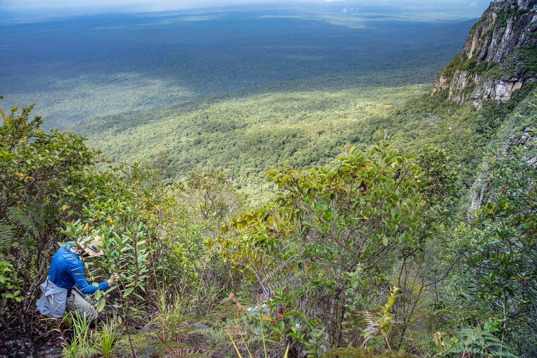 Exploring the pristine rainforest