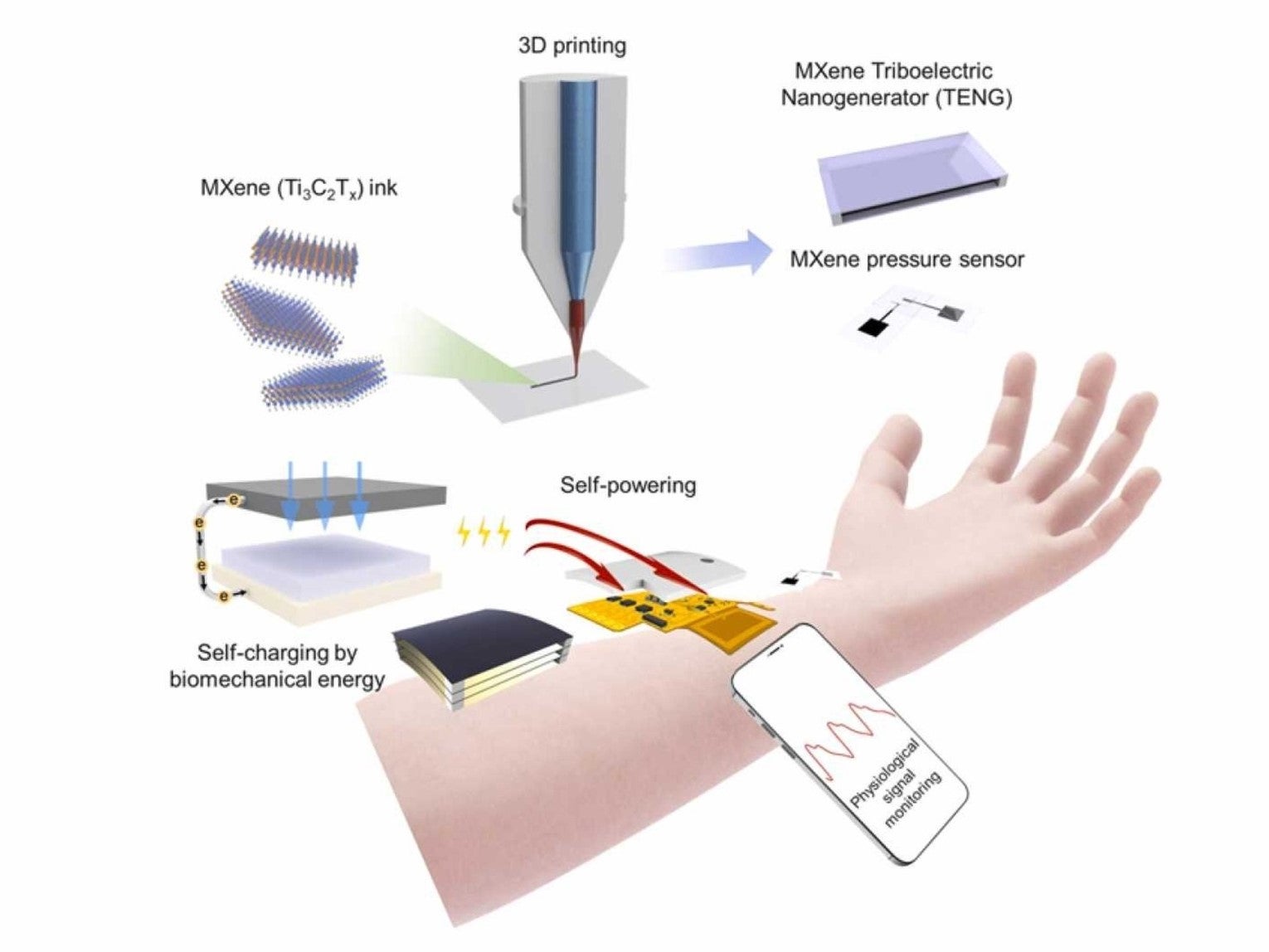 The self-powered wearable offers continuous, real-time, on-demand, and fully self-powered radial-artery-pulse waveform monitoring