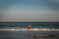 Swimmers ordered out of water after two shark attacks off Long Island