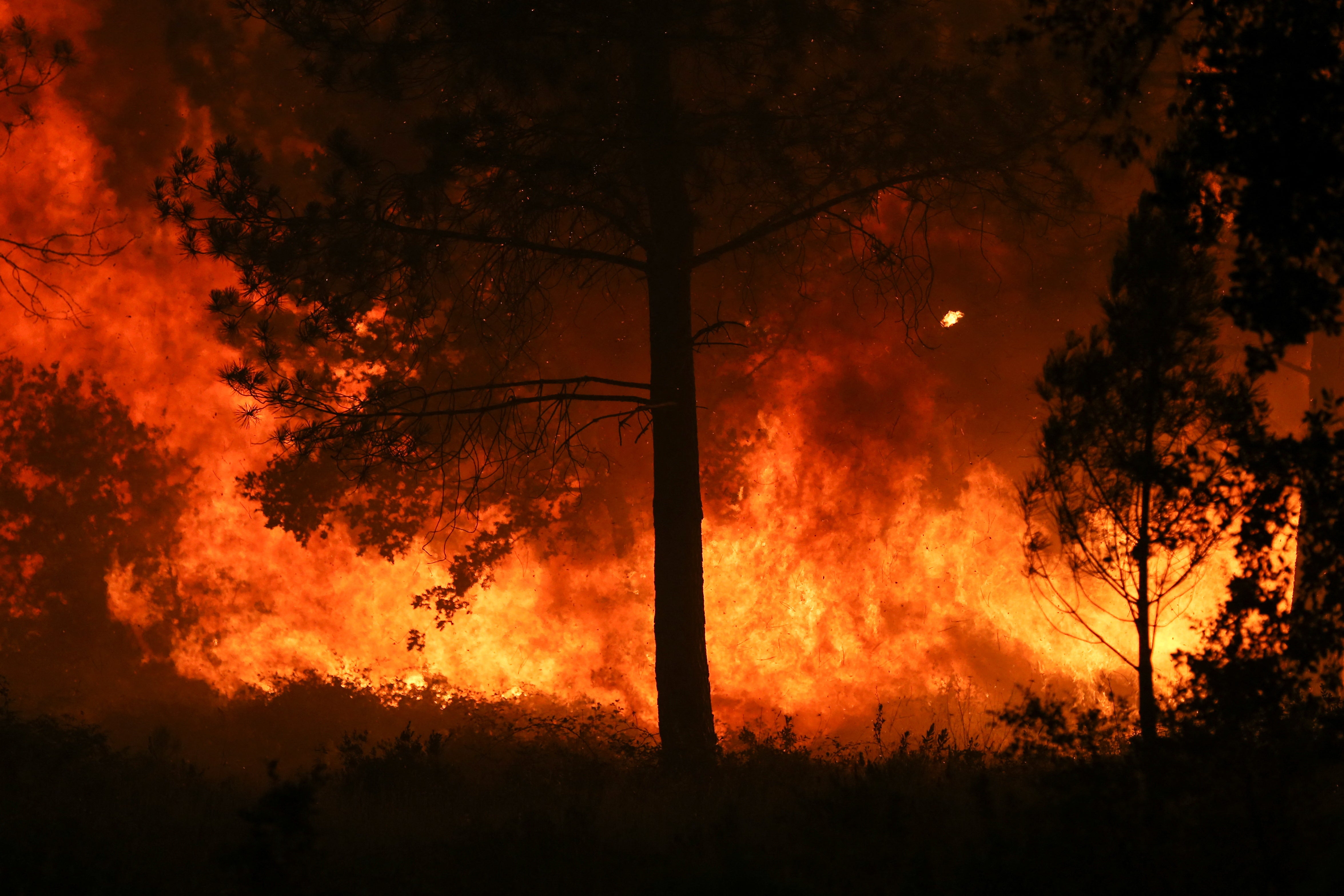 Wildfires burn in Portugal, where temperatures are set to hit 43C