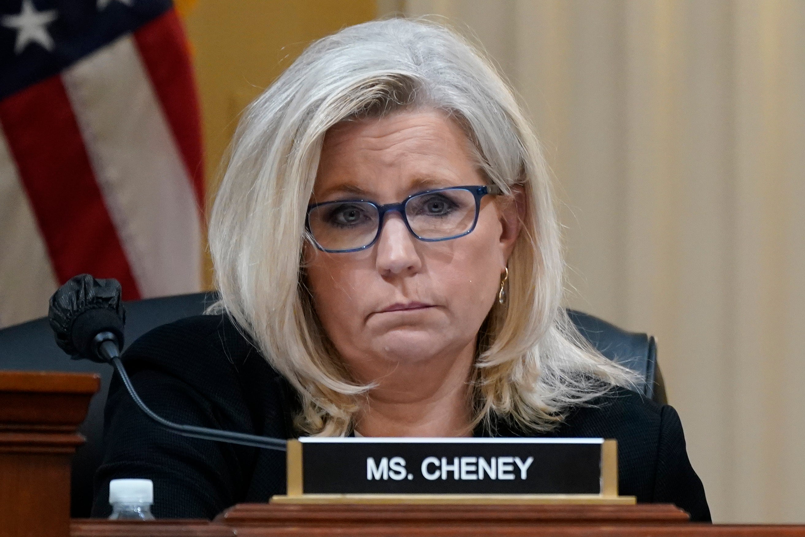 Jan 6 committee vice-chair Liz Cheney