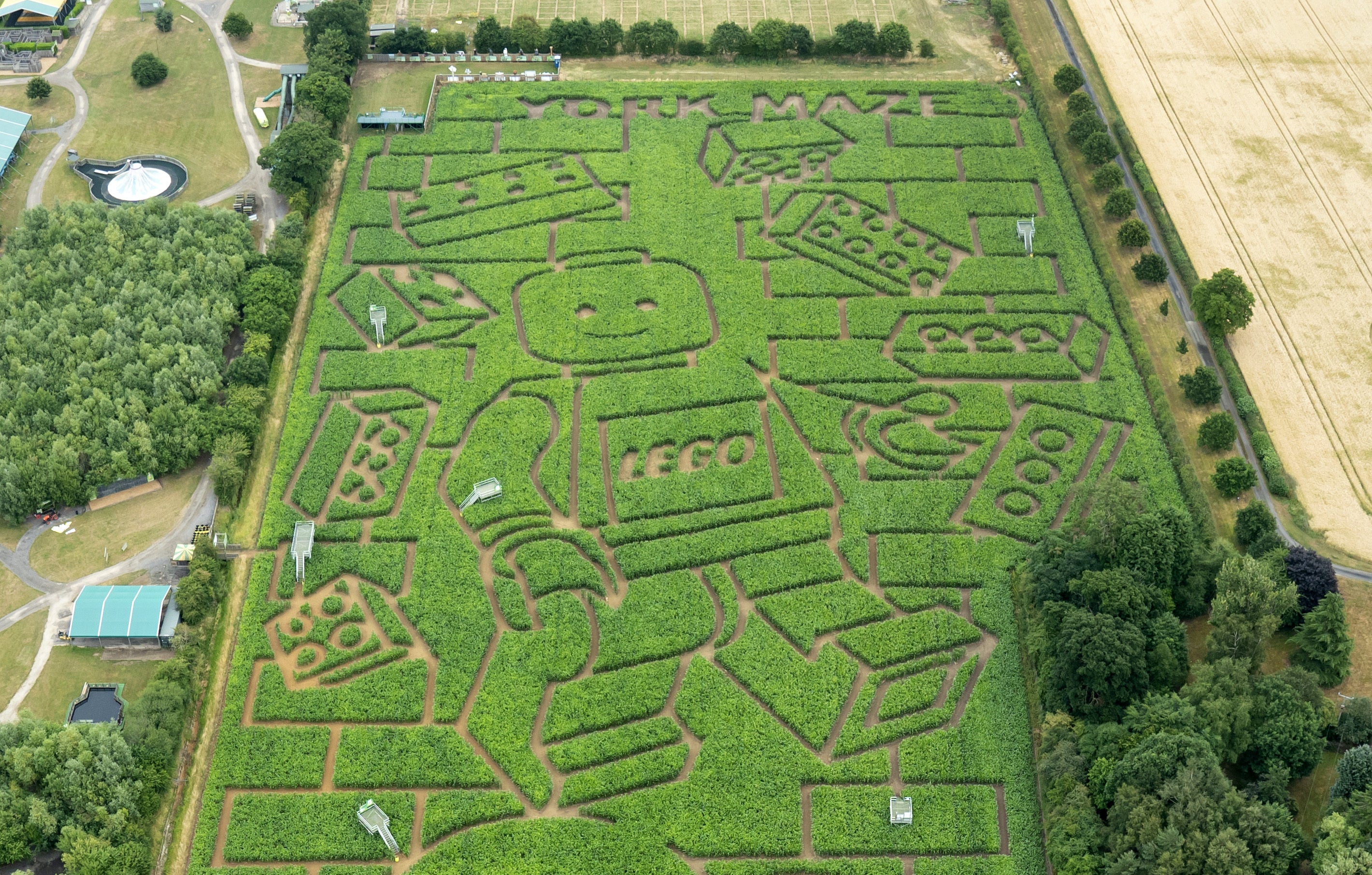 The world’s biggest Lego minifigure, cut from a 15-acre field of maize plants to mark Lego’s 90th anniversary (Danny Lawson/ PA)