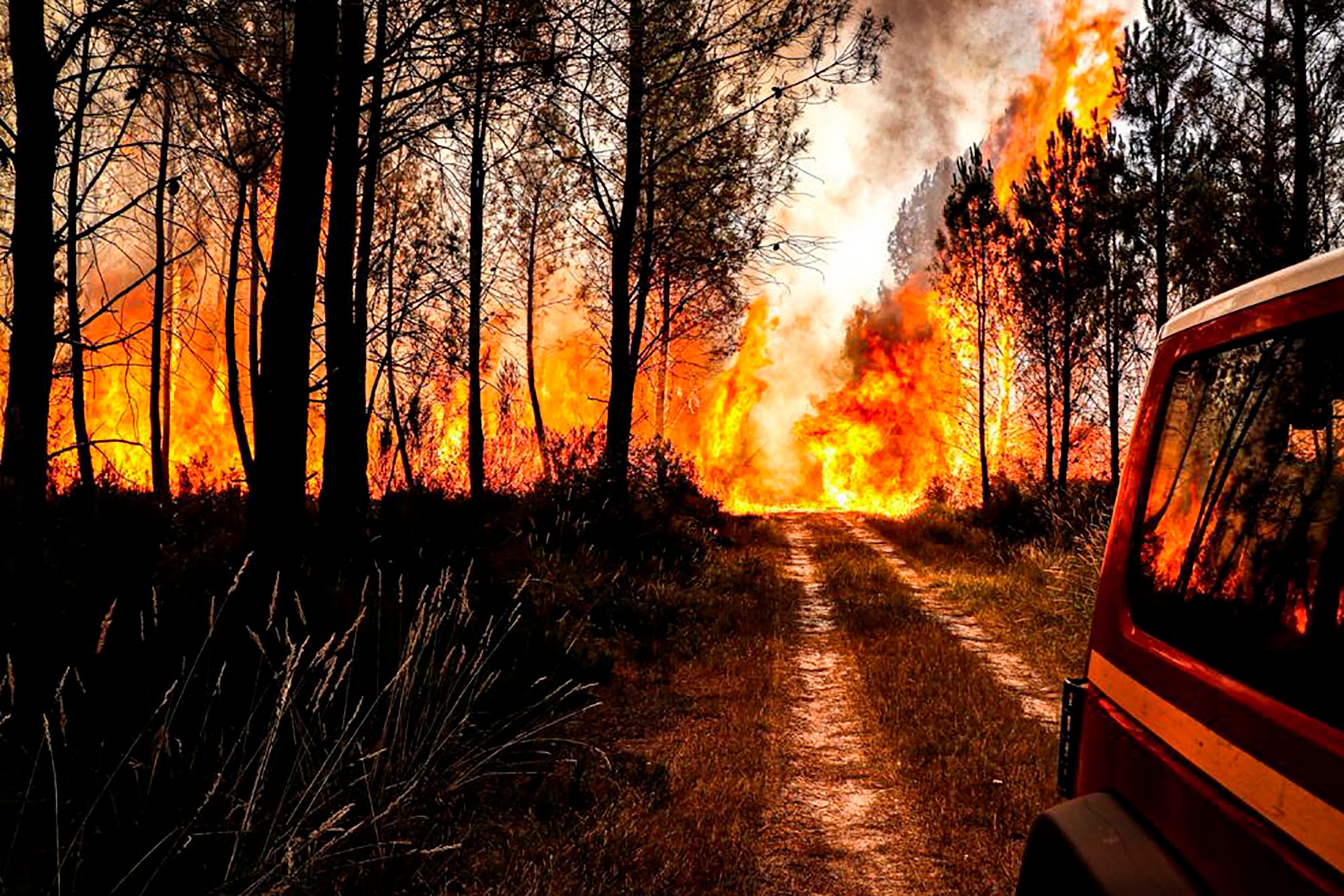 Firefighters for the Gironde region battle a wildfire near Landiras in southwestern France