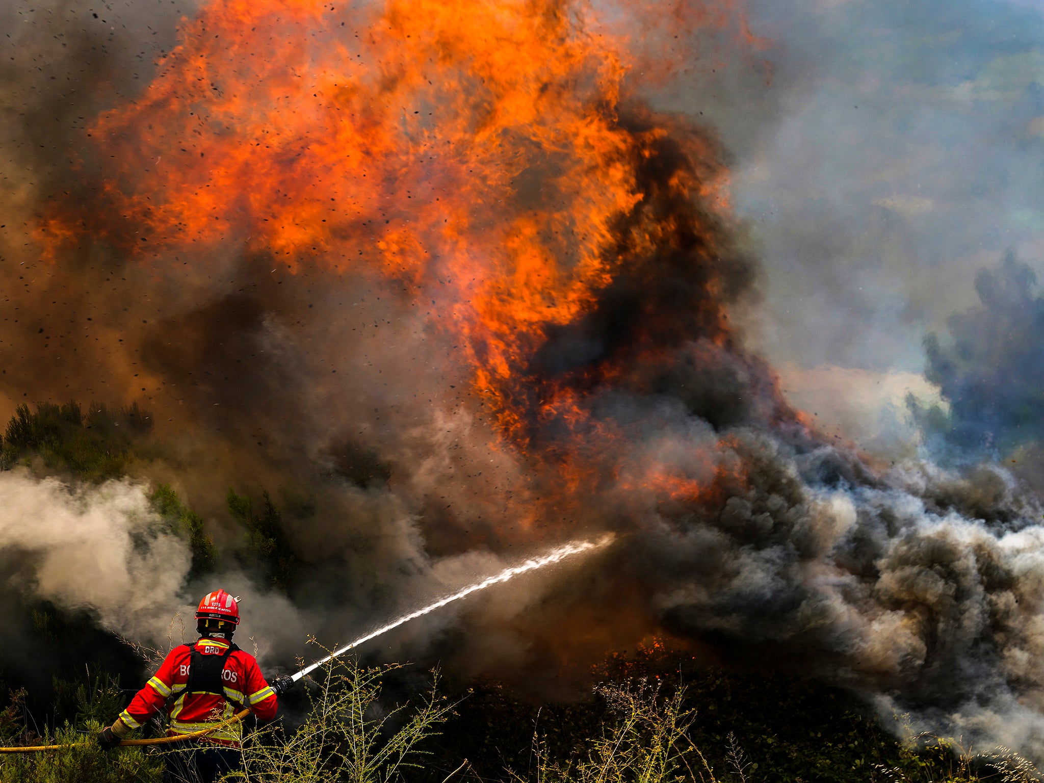 Wildfires in Portugal have already killed one person