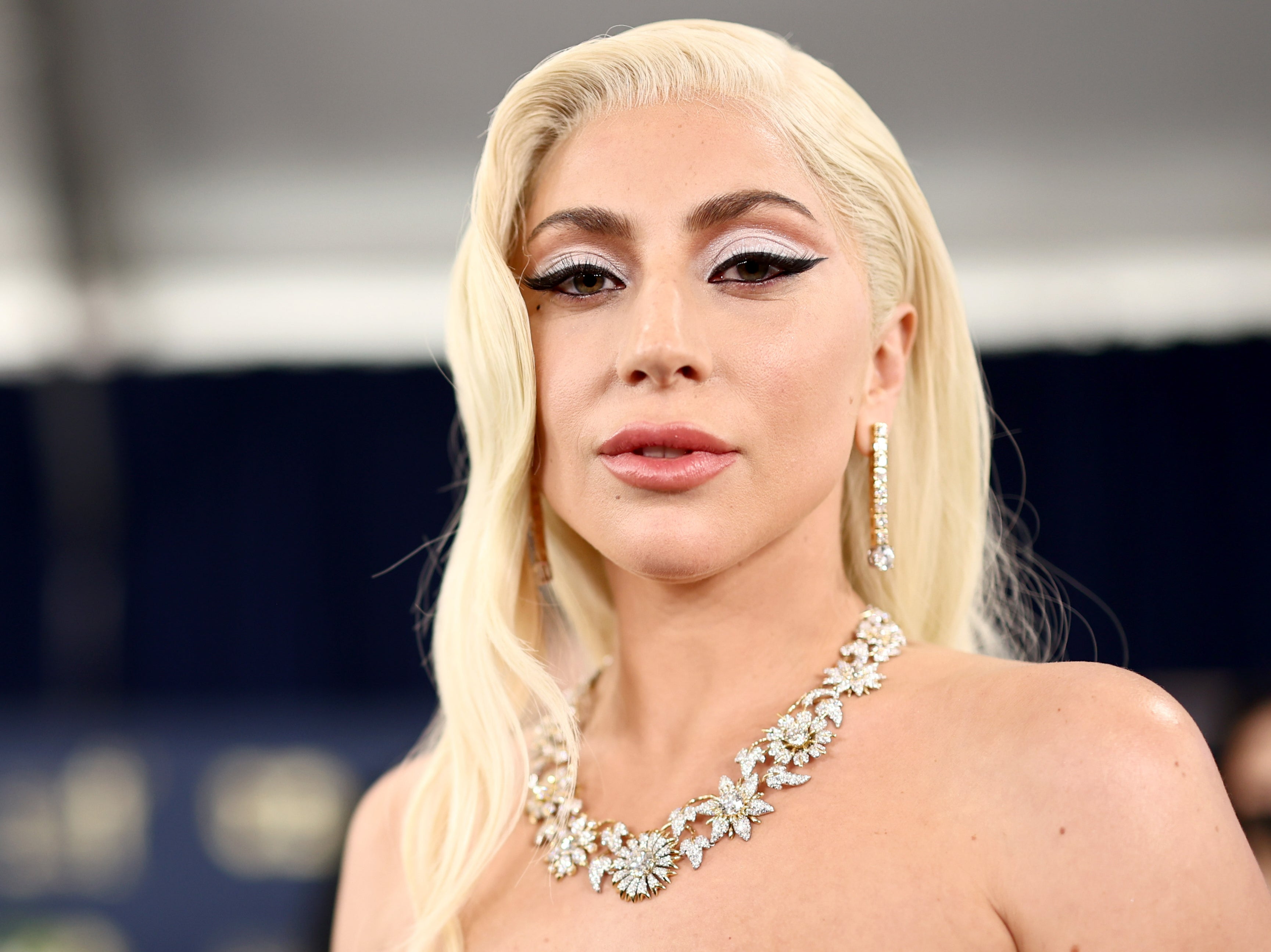 Man accused of kidnapping Lady Gaga’s dogs is rearrested