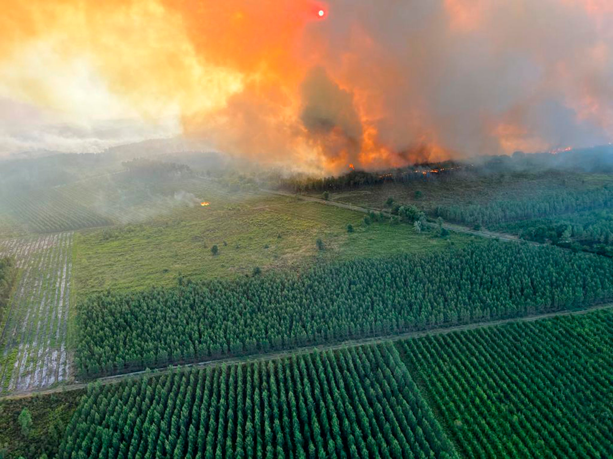 Wildfire near Landiras, in the Gironde region of southwestern France