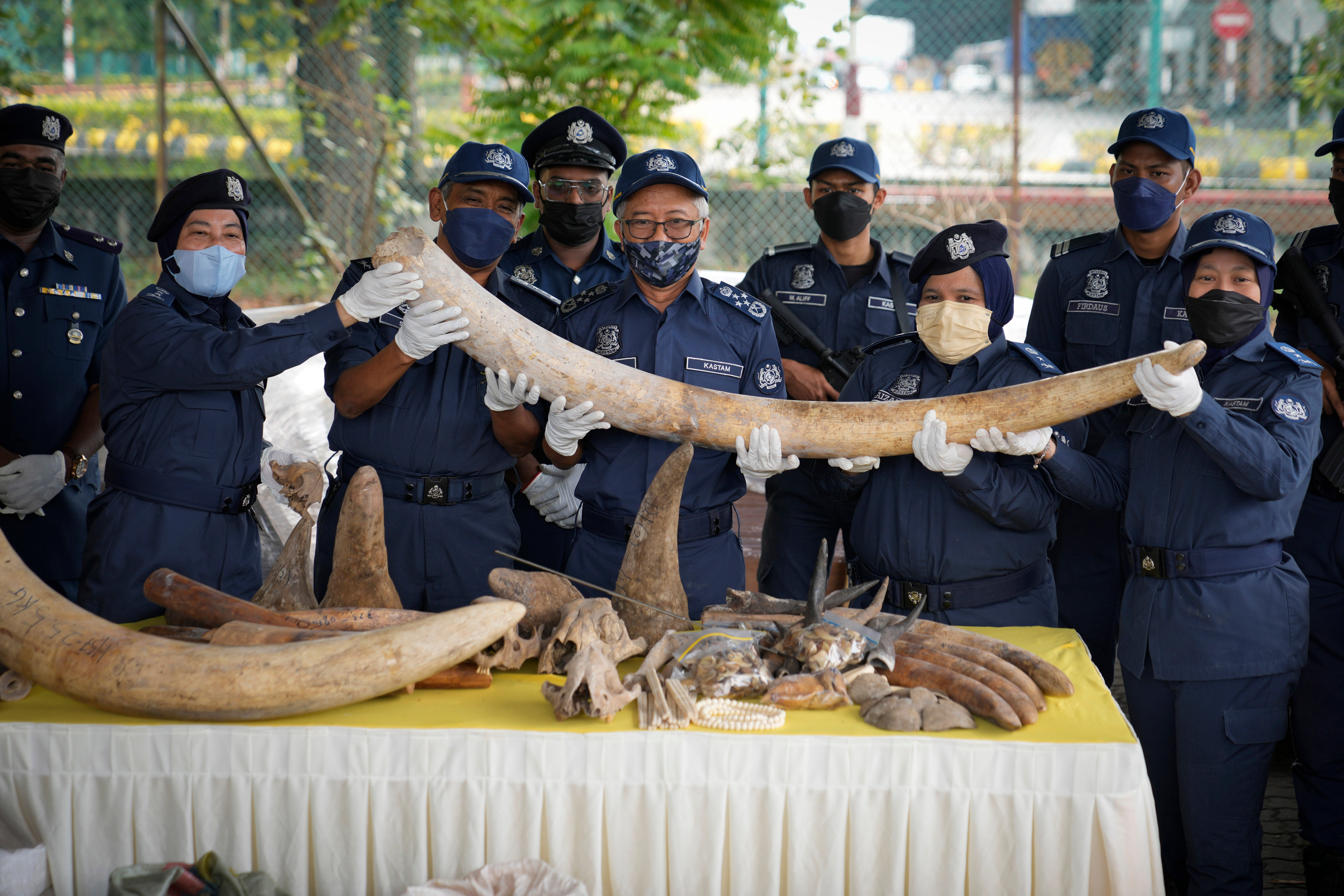Malaysia Wildlife Smuggling