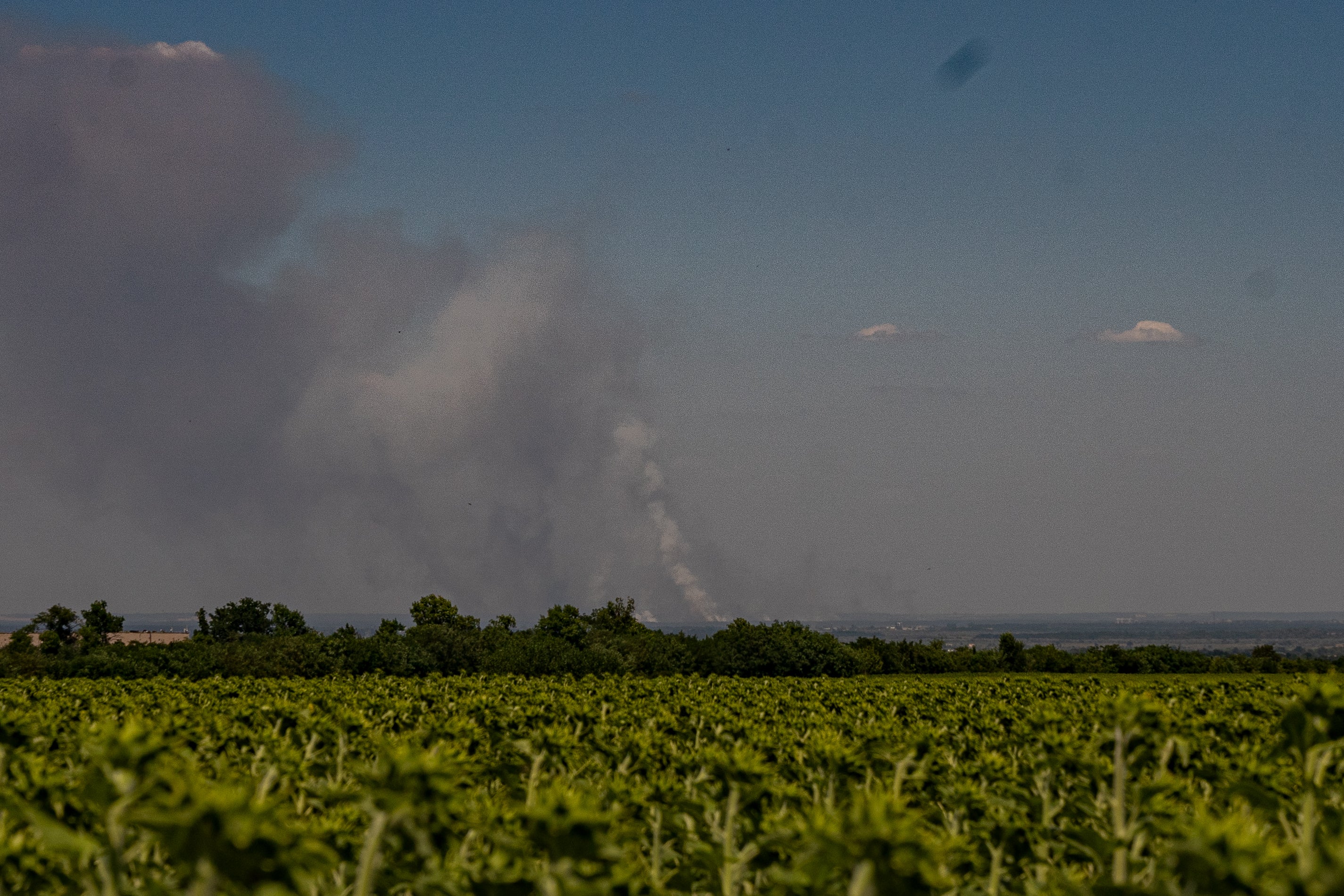 Smoke streams over a sunflower field from a nearby rocket attack in Dnipro