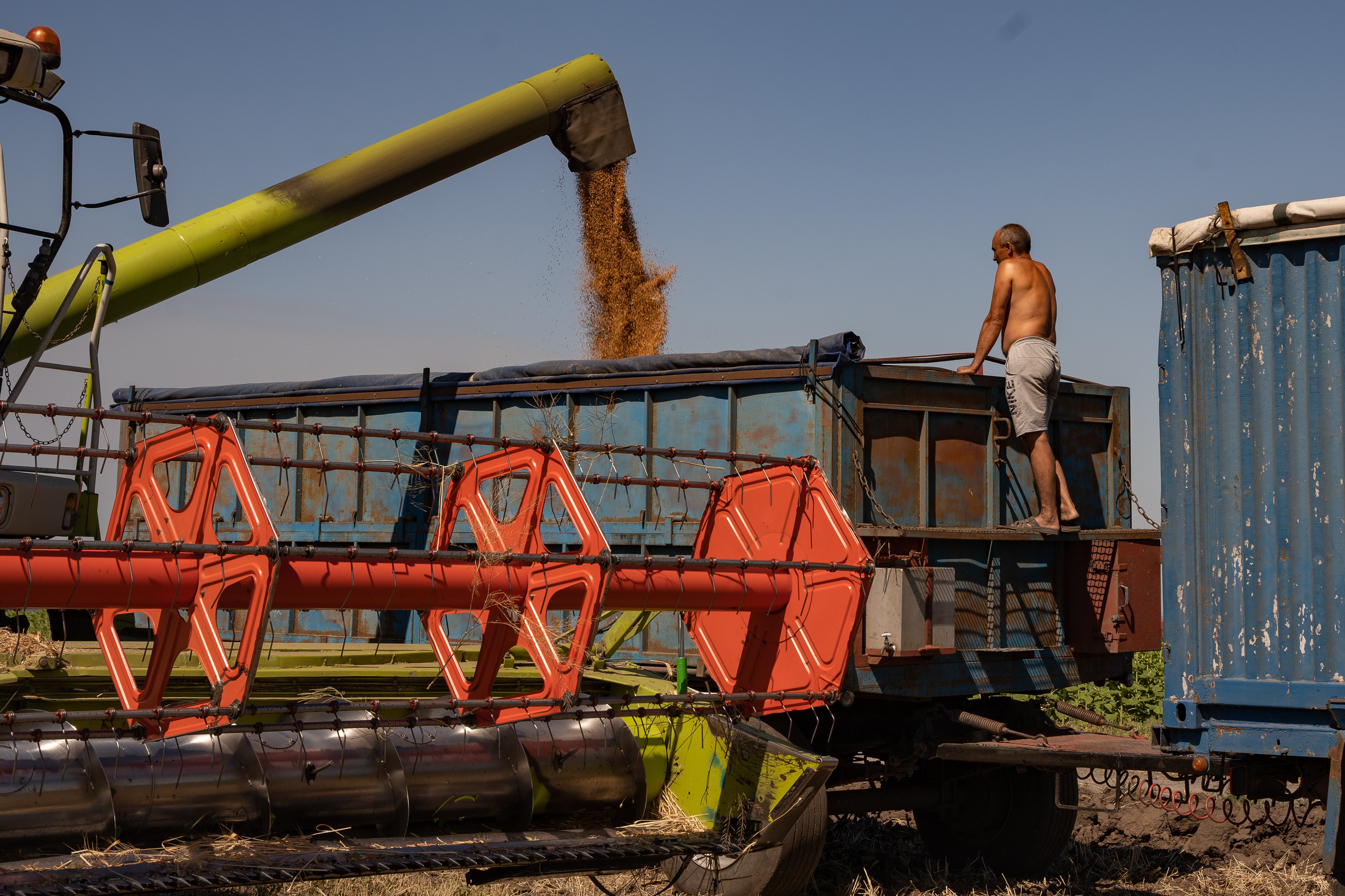 Ukraine’s farmers are in a race to harvest as much of their crops as possible under fire