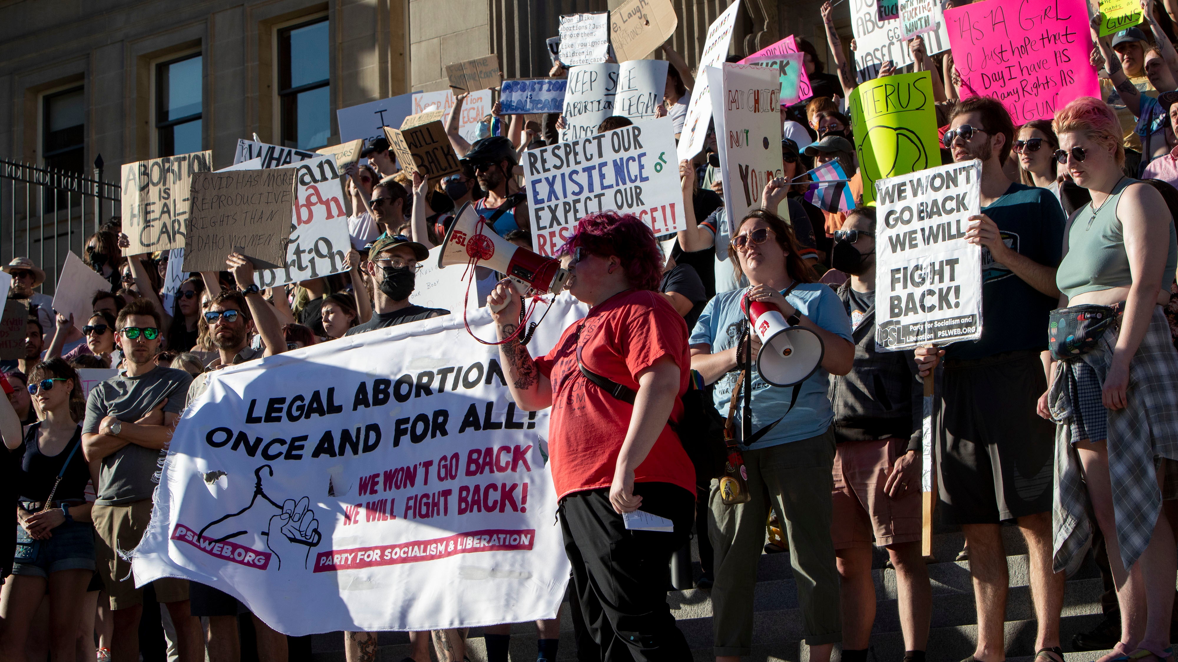 Idaho GOP’s anti-abortion platform makes no exception for saving a mother’s life