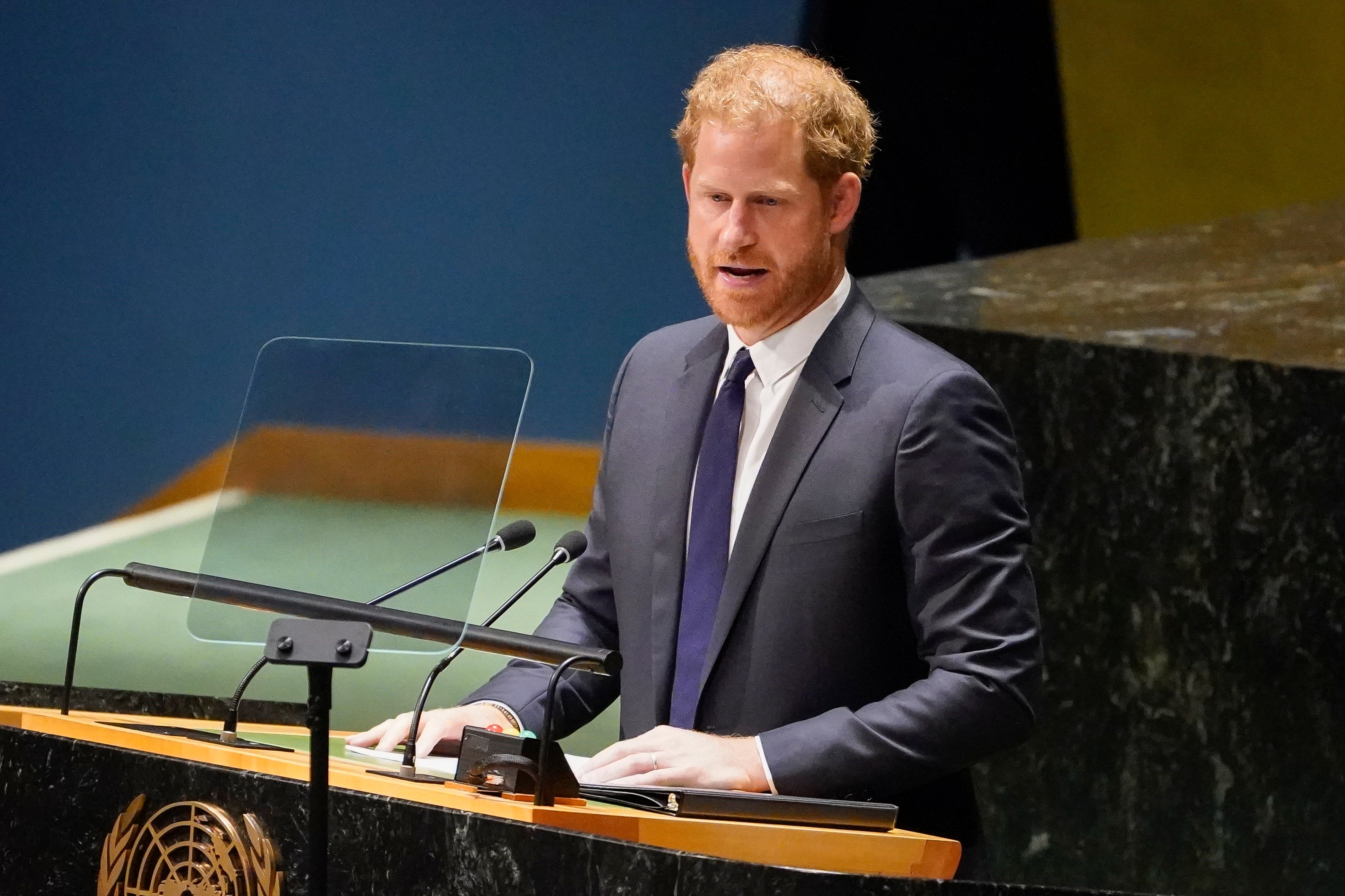 Prince Harry warned of a ‘global assault on democracy and freedom’