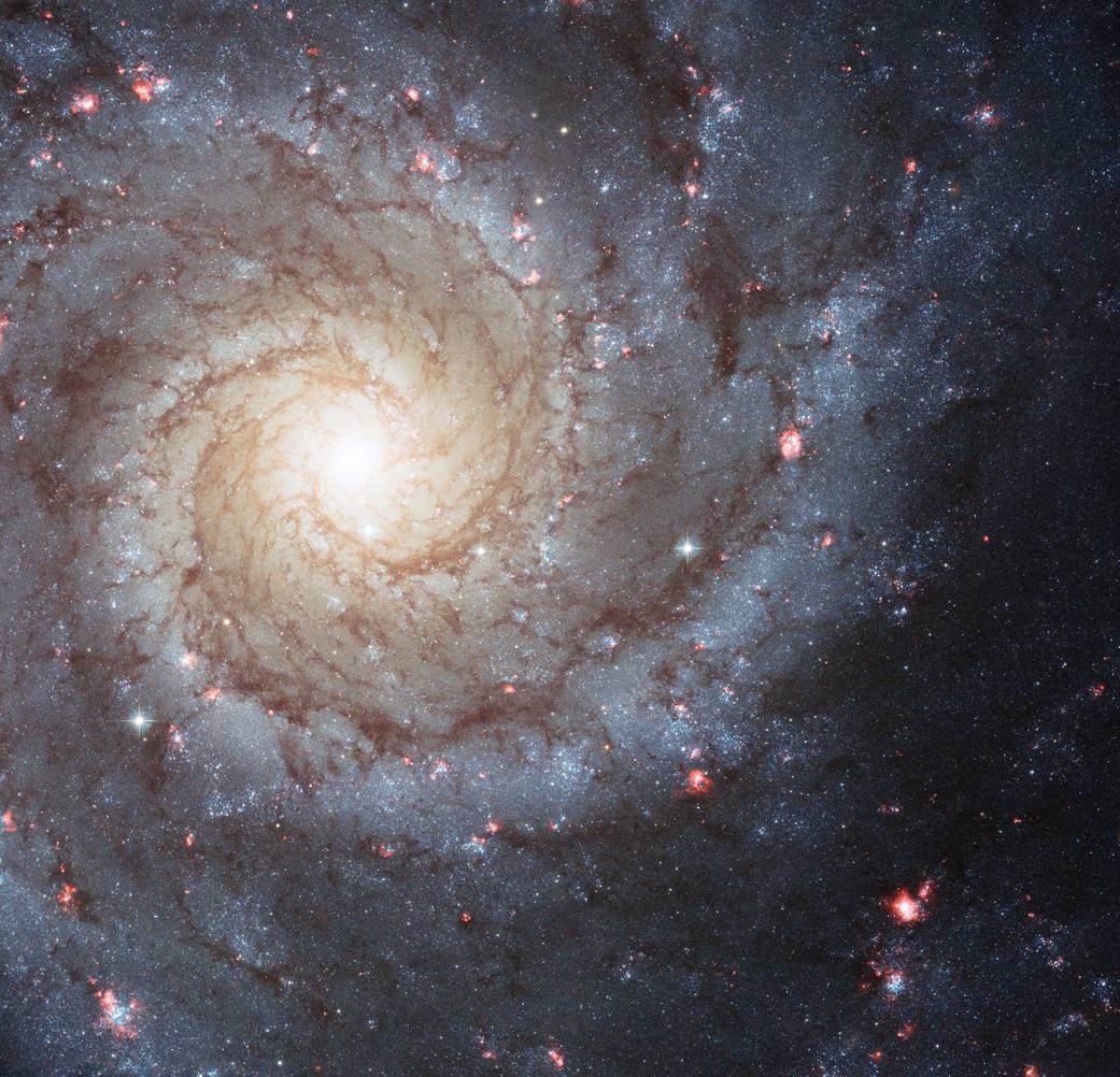 A Hubble Space Telescope image of the spiral galaxy NGC 628, which may resemble our own Milky Way galaxy.