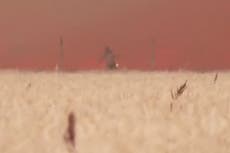 Man runs through field of flames to flee ferocious wildfire in Spain