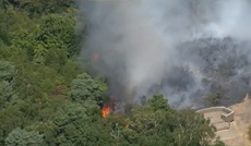 Shirley Hills: Fire breaks out at London park as record heatwave rages