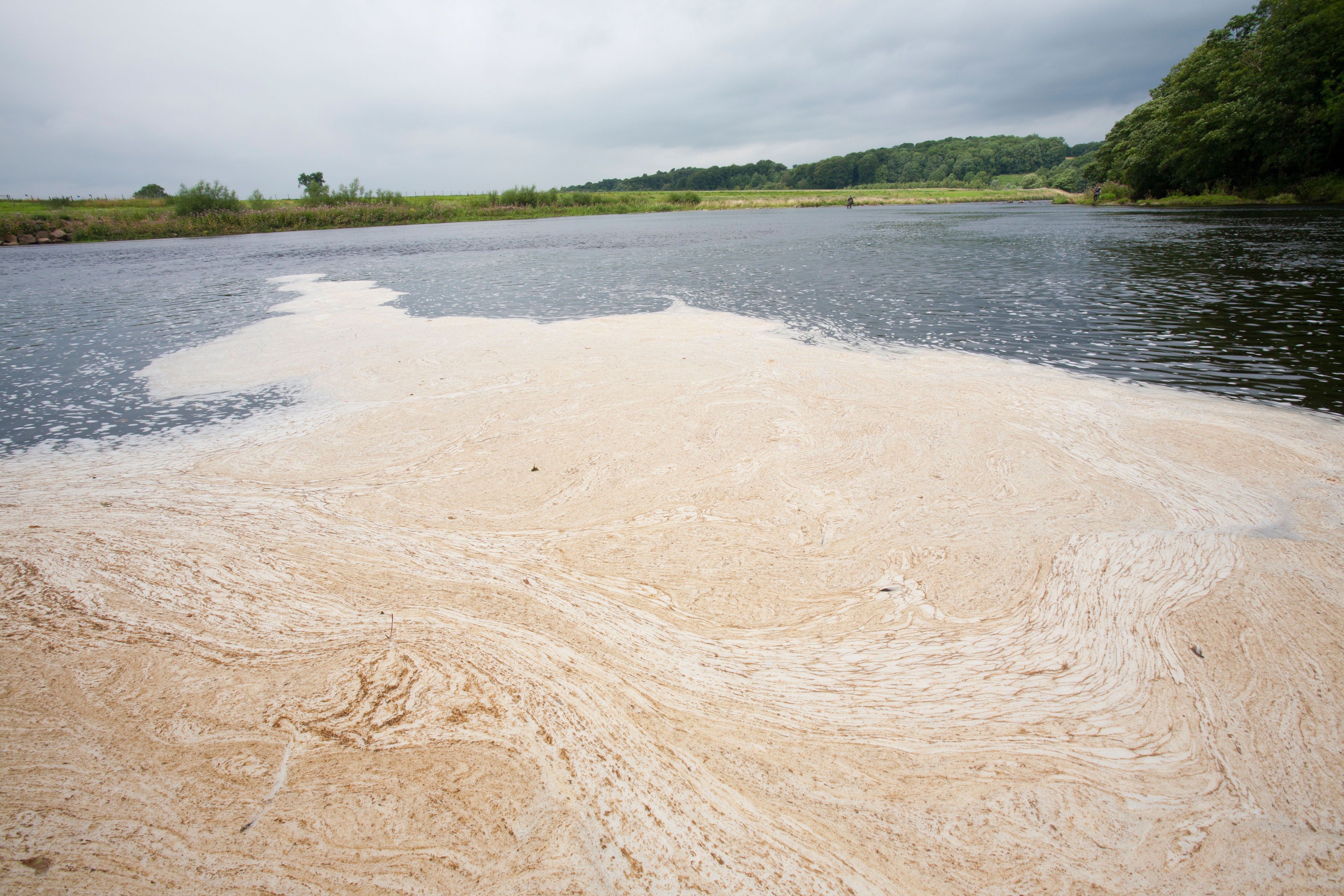 Scum floating on the River Ribble near Clitheroe, Lancashire (Alamy/PA)