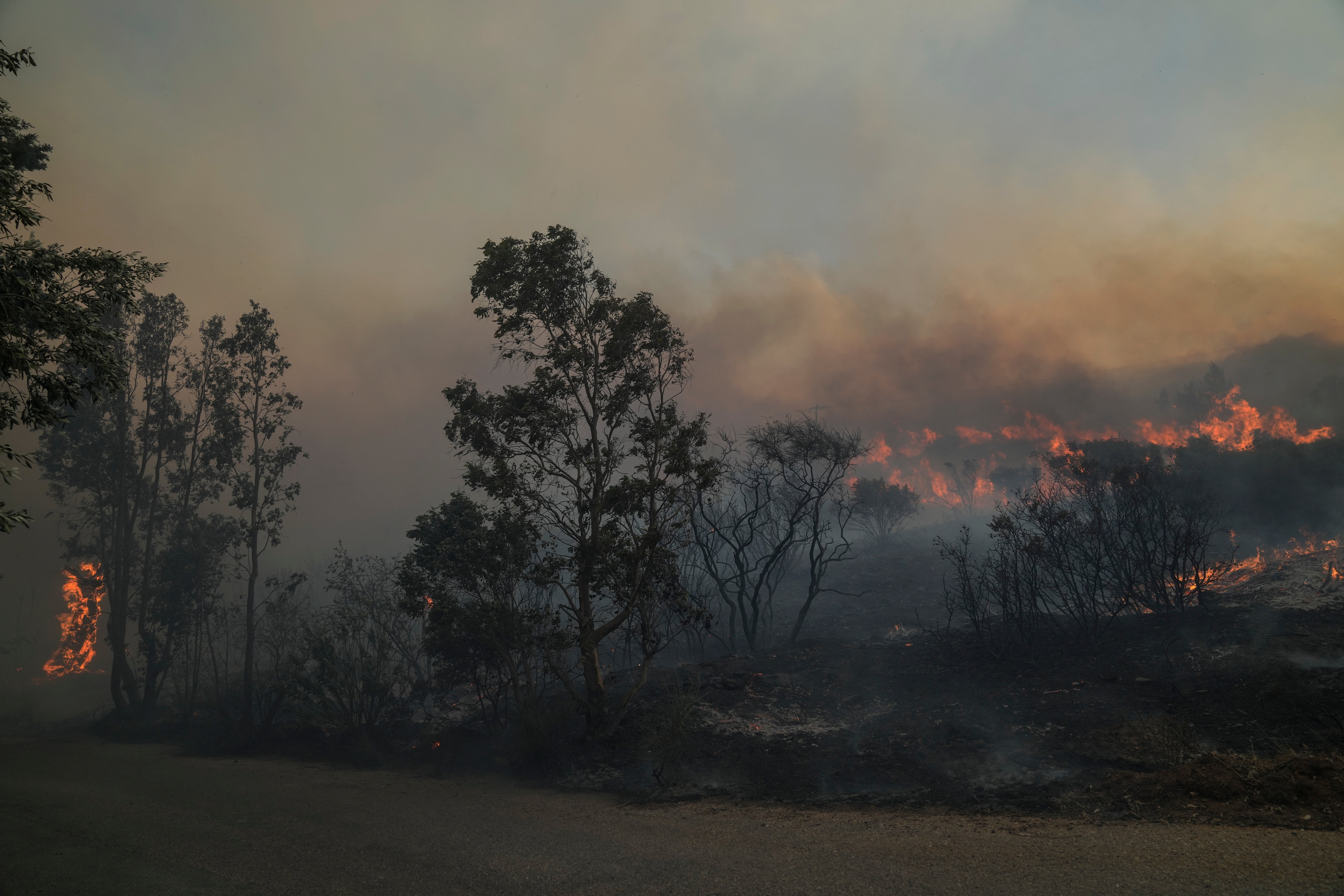 A large forest fire broke out northeast of Athens, fanned by high winds