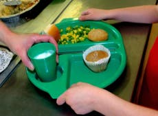 Experts warn of major impact on children’s health without proper nutrition at school