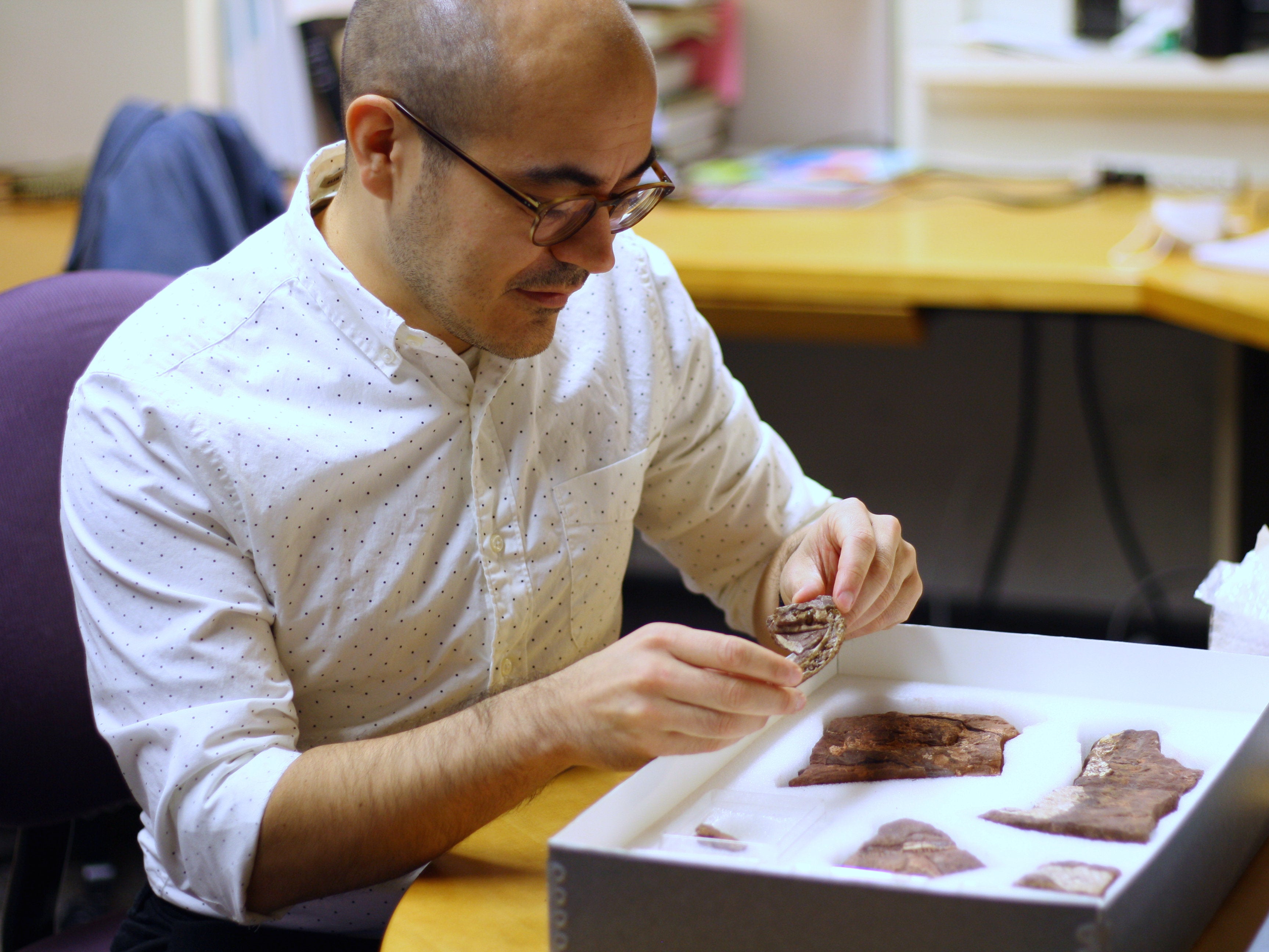 Dr Tom Stewart, of Penn State University, with the Qikiqtania fossils