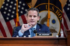 Kinzinger tells GOP voters ‘you are being abused’ by leaders who know election wasn’t stolen