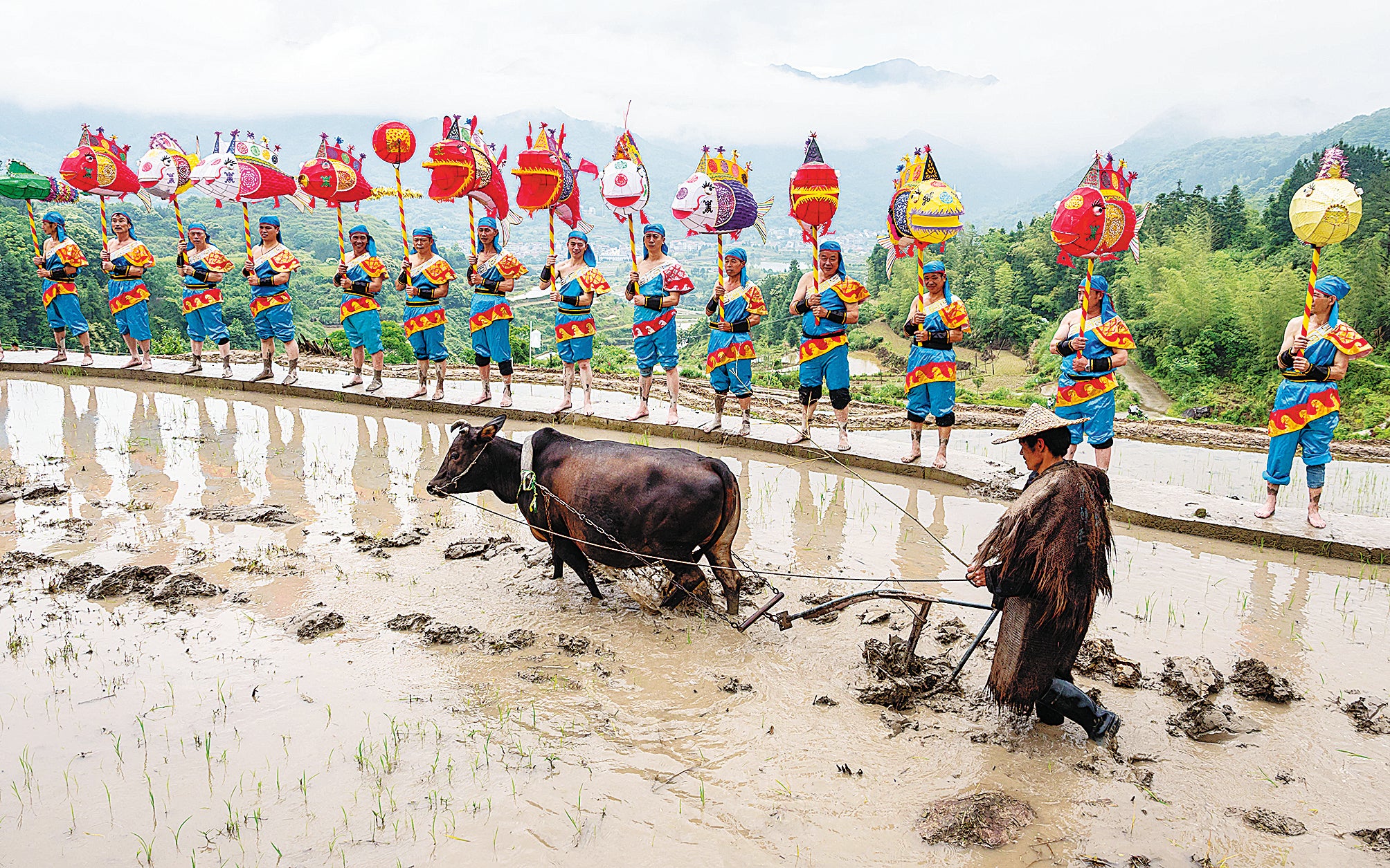 Fish are the theme of folk songs, dances and festival celebrations in Qingtian