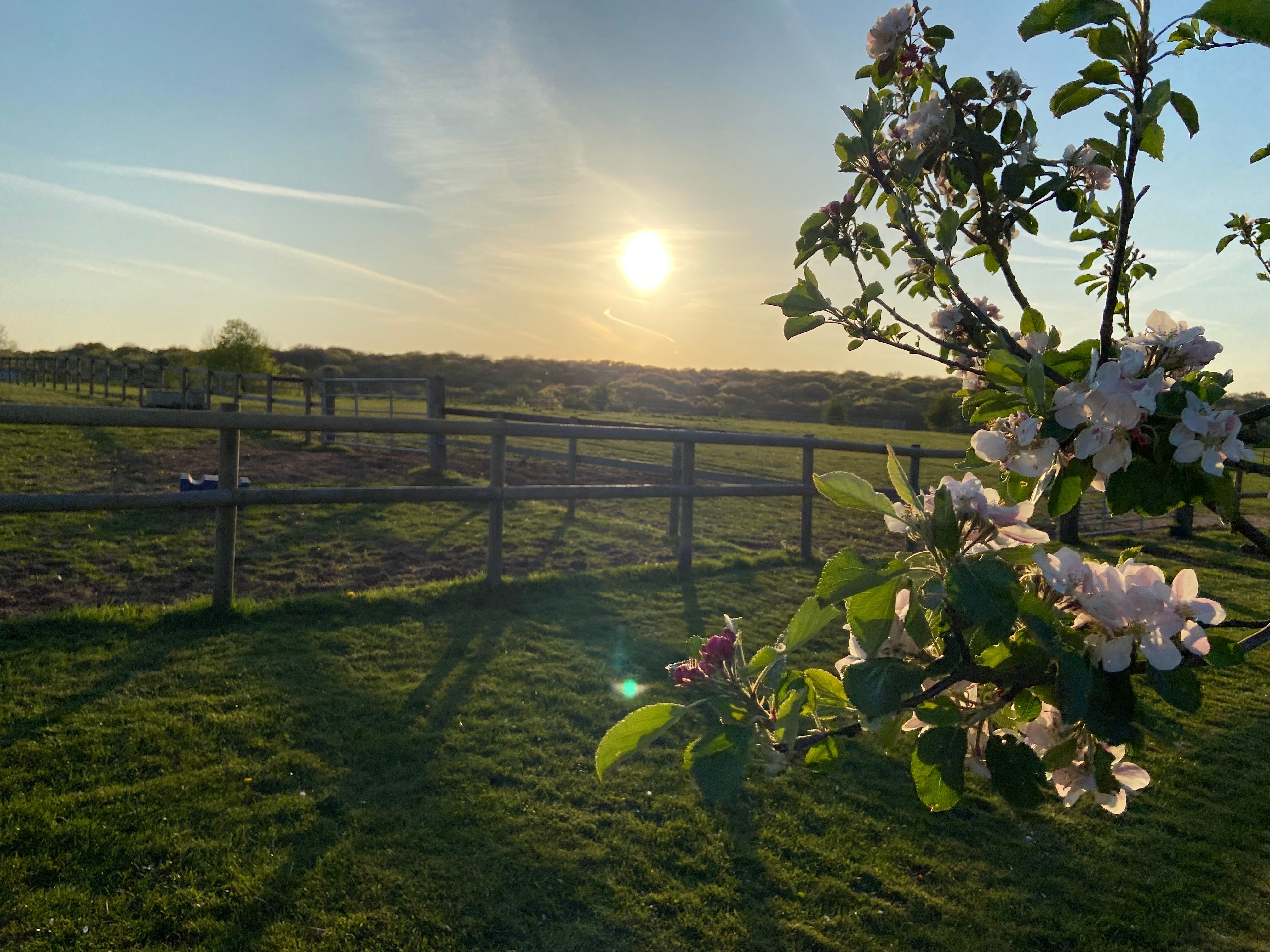 The view from Shillingridge glampsite