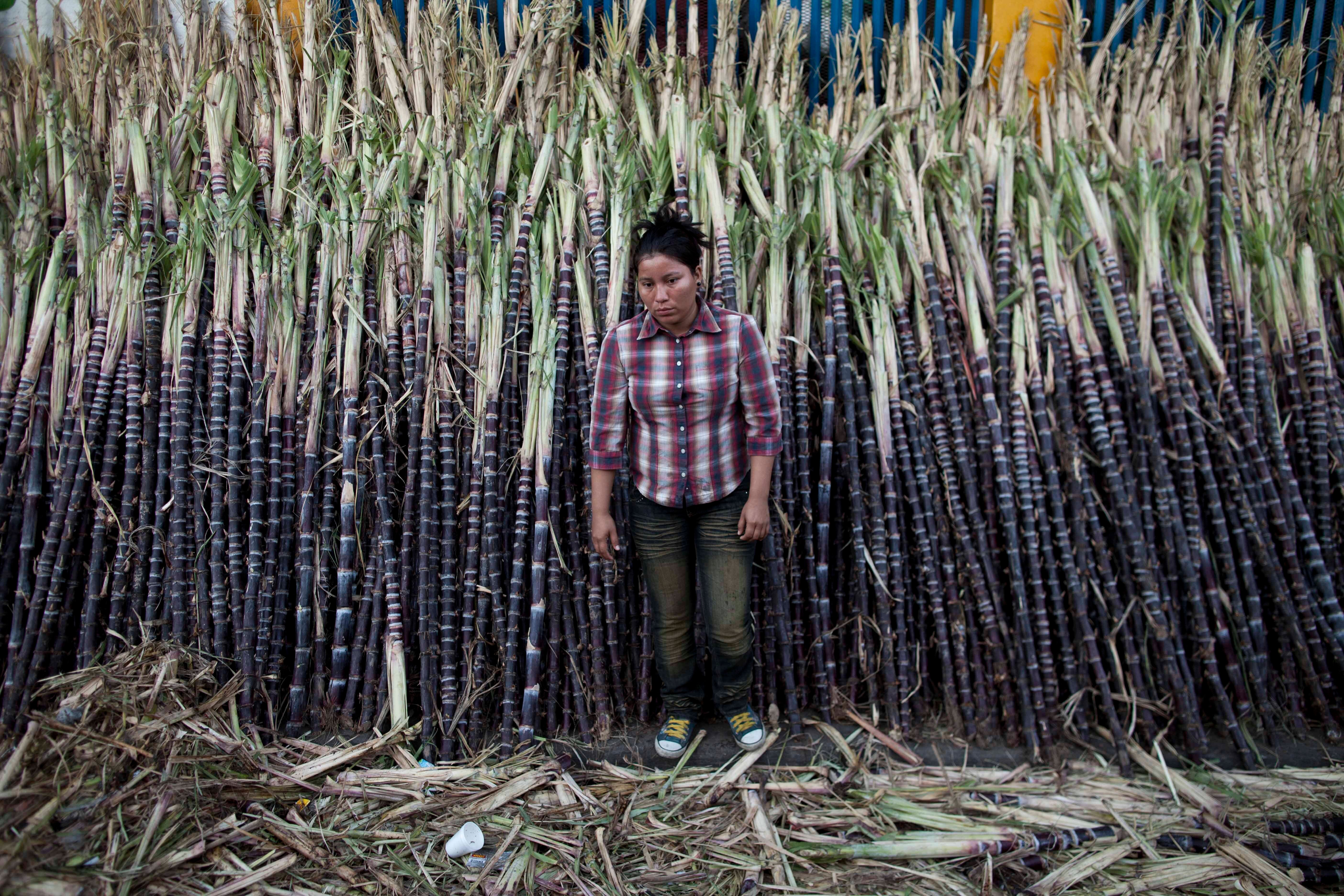 Nicaragua-Sugar Quotas