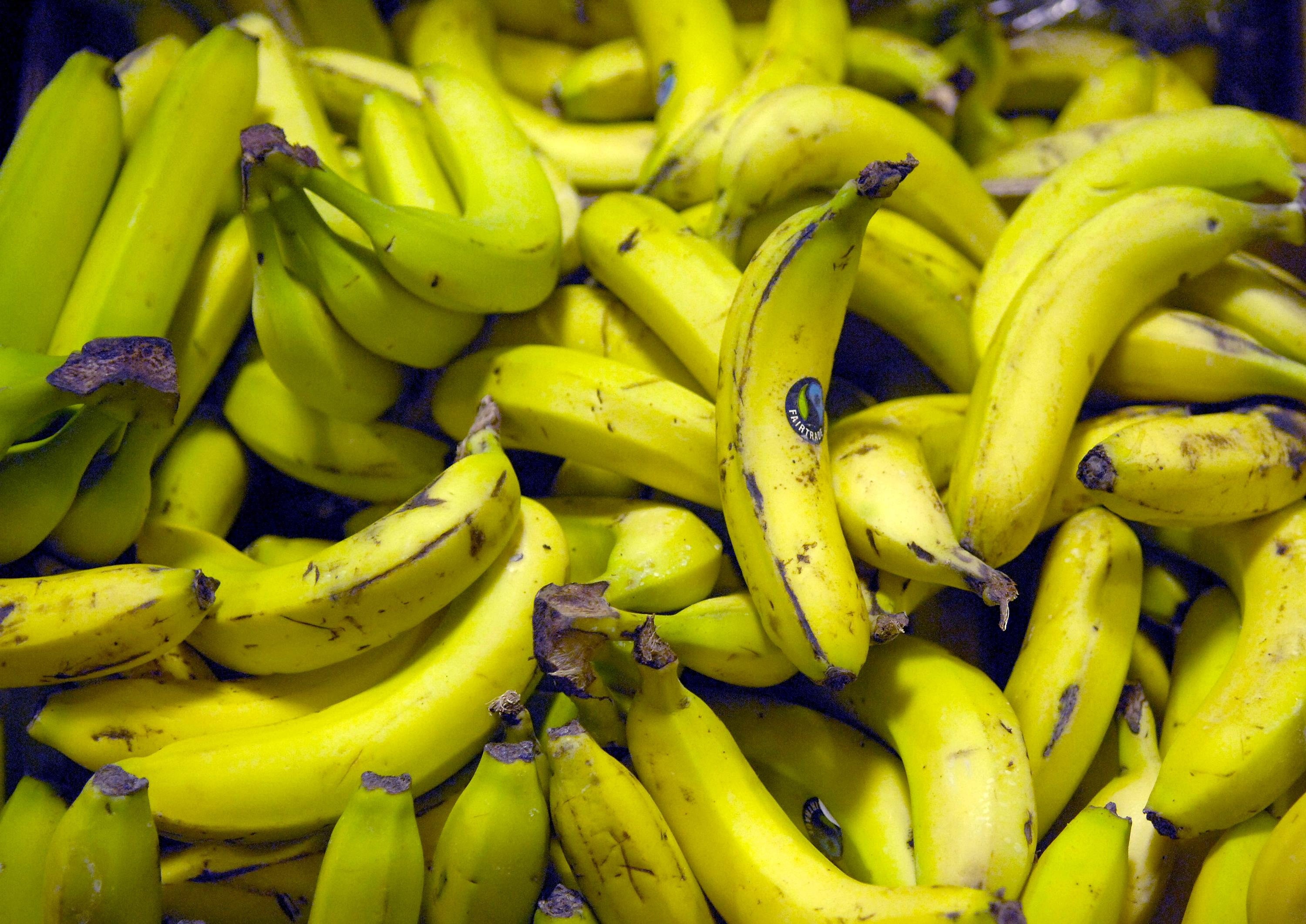 Bananas often sprayed with a preservative containing chitosan