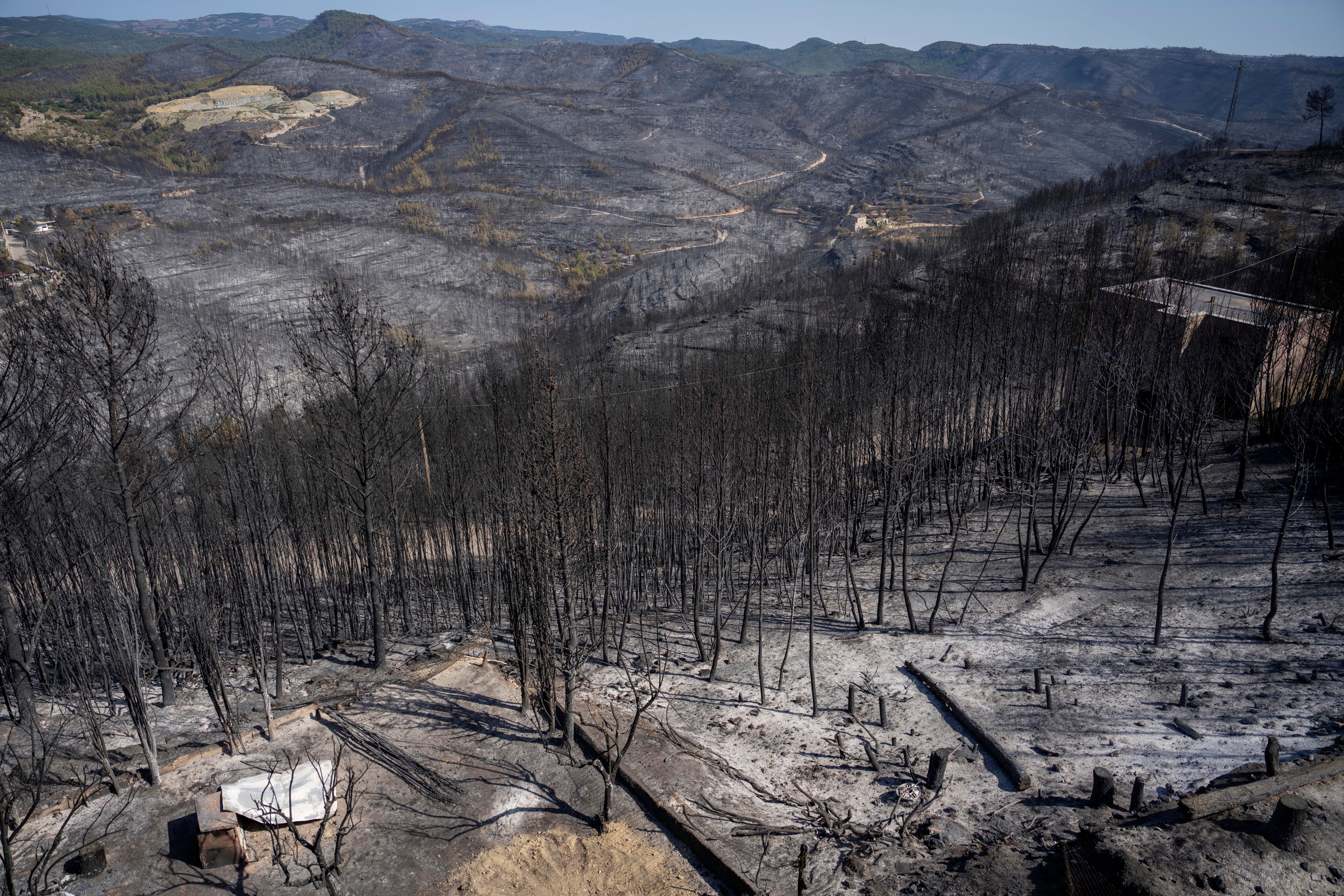 Europe Wildfires Explainer