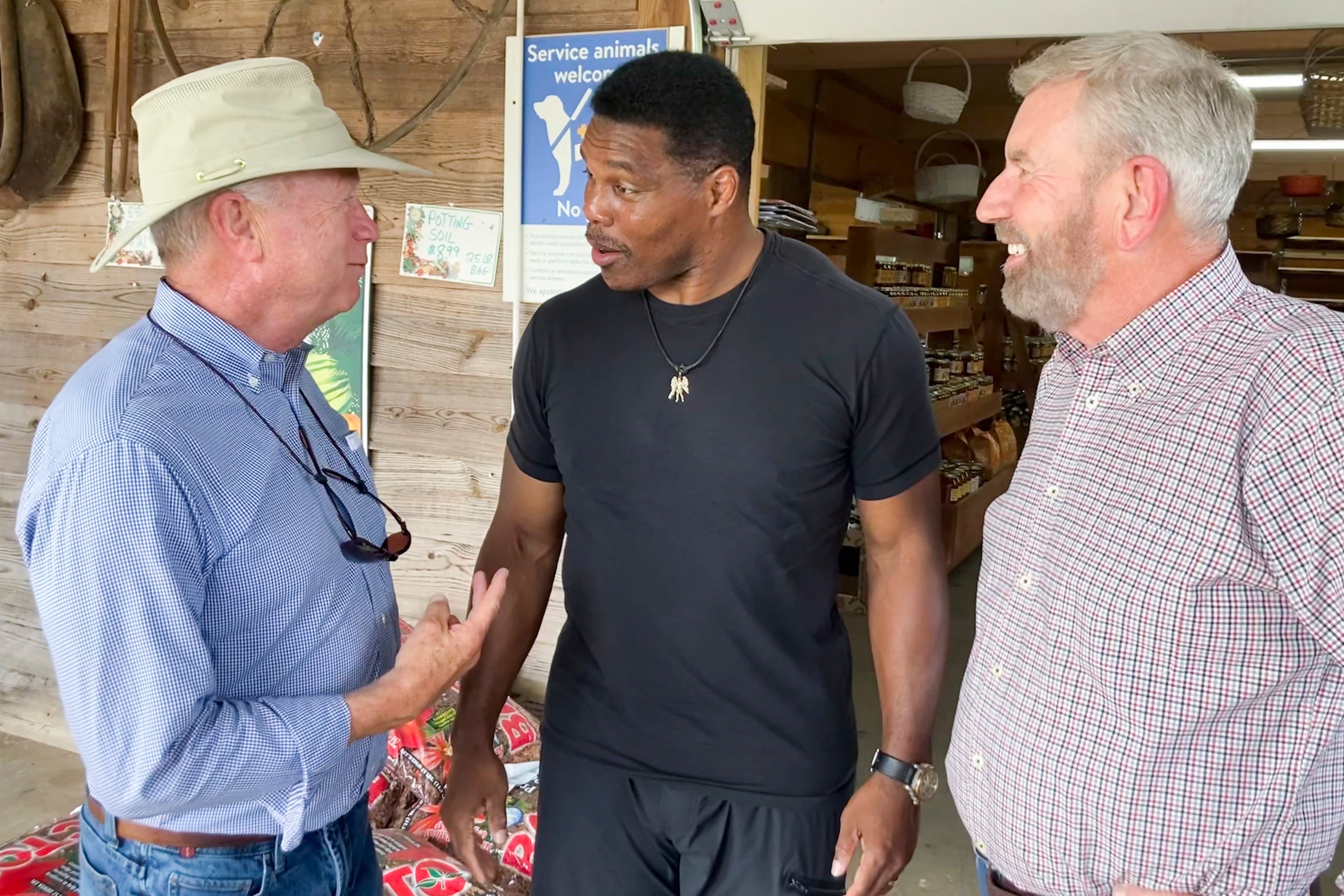 Anti-Herschel Walker ad features Senate candidate’s ex-wife recalling him putting a gun to her head