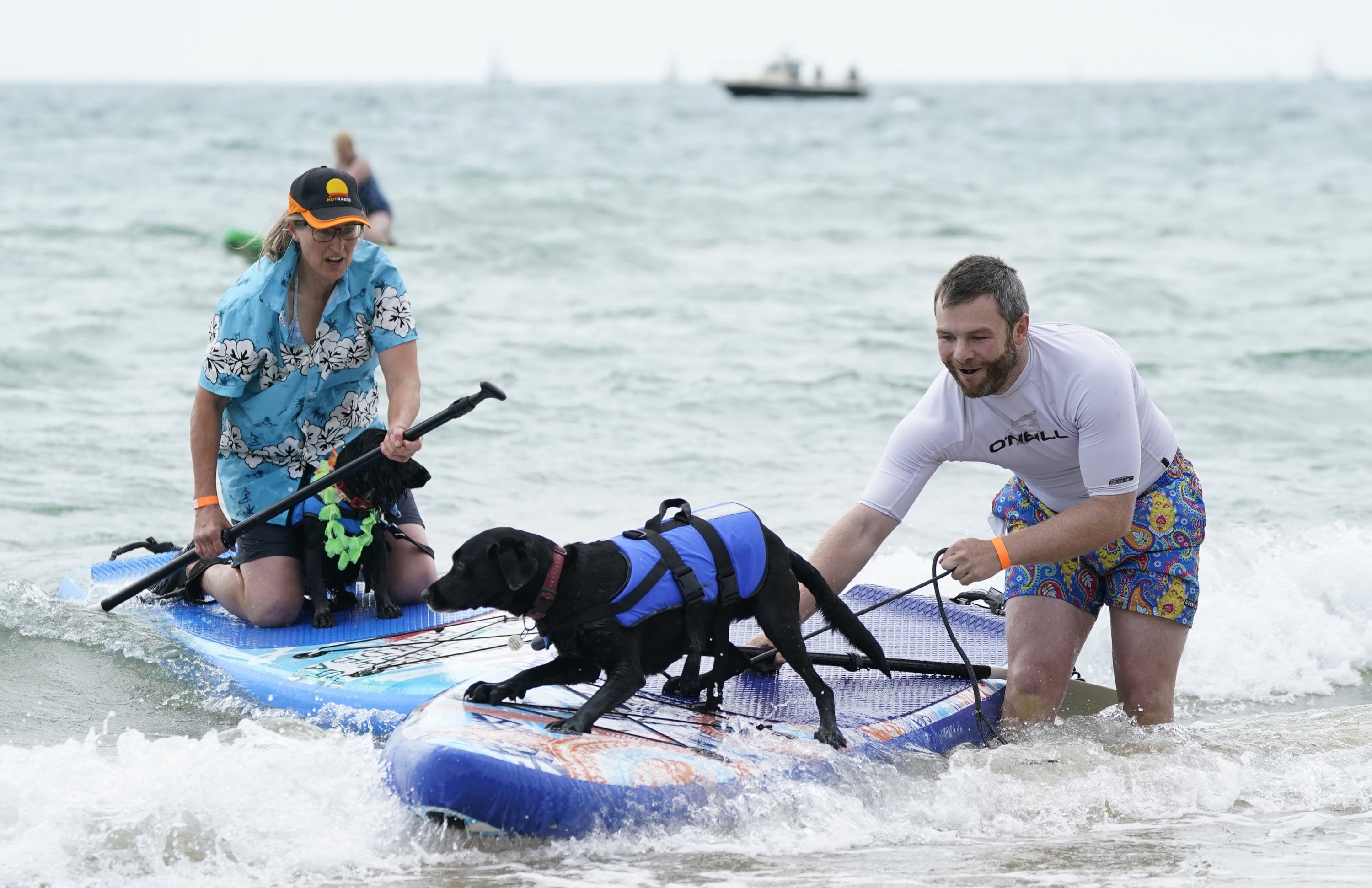 Dogs and their owners took to the waves at Branksome Dene Chine beach in Poole, Dorset (Andrew Matthews/PA)