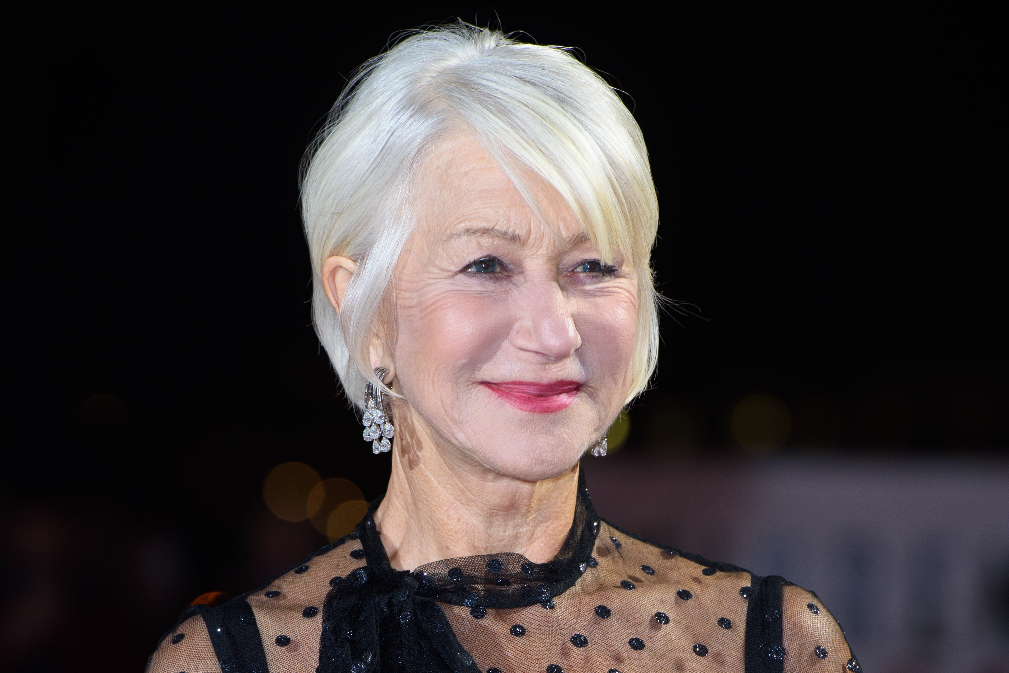 Helen Mirren called the Brick by Brick campaign a ‘bold, brilliant initiative’