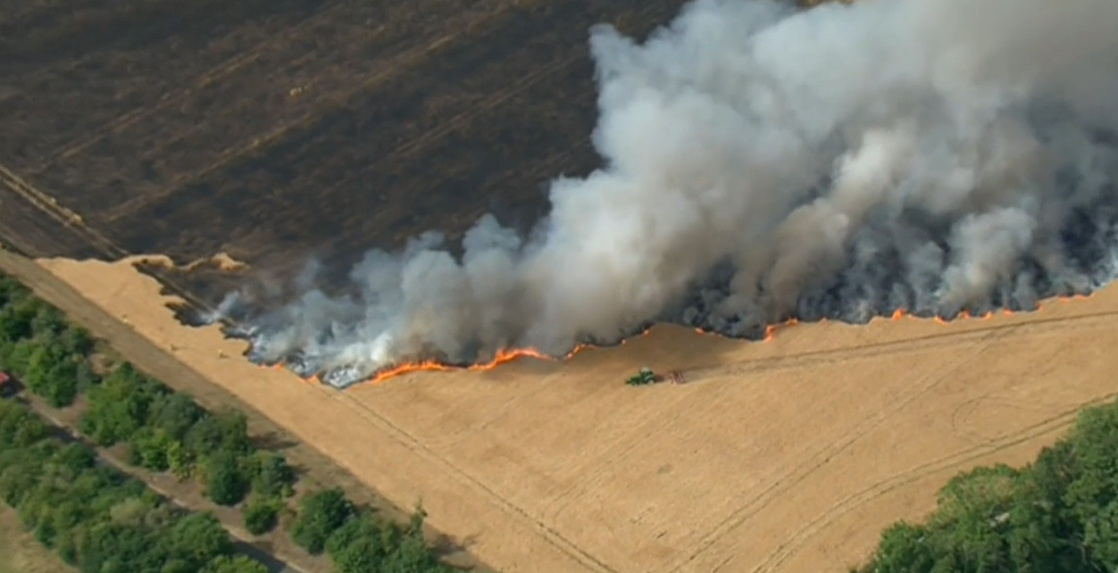 The fire destroyed almost 20 hectares of land