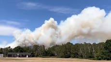 Surrey fire: Major incident declared over large blaze at Hankley Common