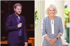 ‘Close your eyes and you won’t feel it’: Harry compares first meeting Camilla to getting an ‘injection’