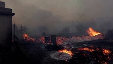 Beach resort on Greek island of Lesbos damaged by wildfire amid summer heatwave