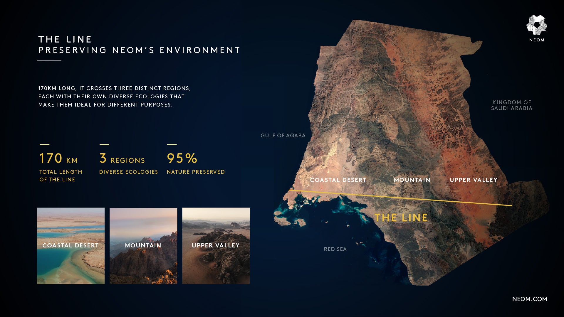 This infographic shows how The Line will fit into the wider landscape