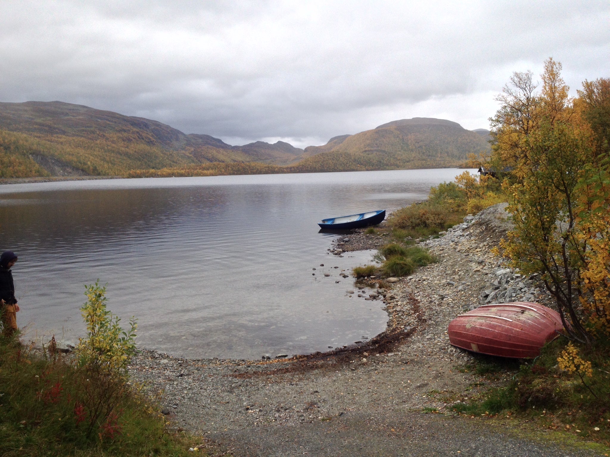 Bacteria can remove plastic pollution from lakes, research suggests (Andrew Tanentzap/University of Cambridge)