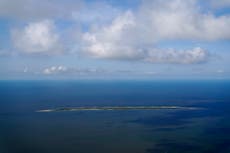 Climate change and vanishing islands threaten brown pelicans