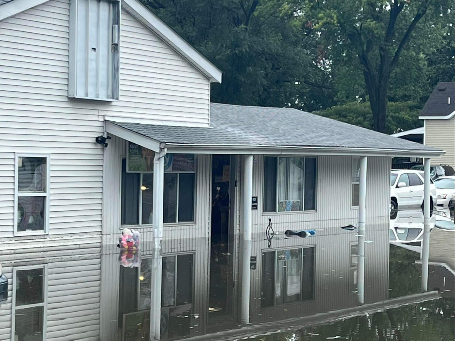 Ten puppies were killed after flooding caused by record-breaking rainfall in the St Louis area swept through a building that housed a rescue shelter for animals