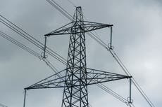 Electricity margins could be ‘tight’ this winter, grid firm says