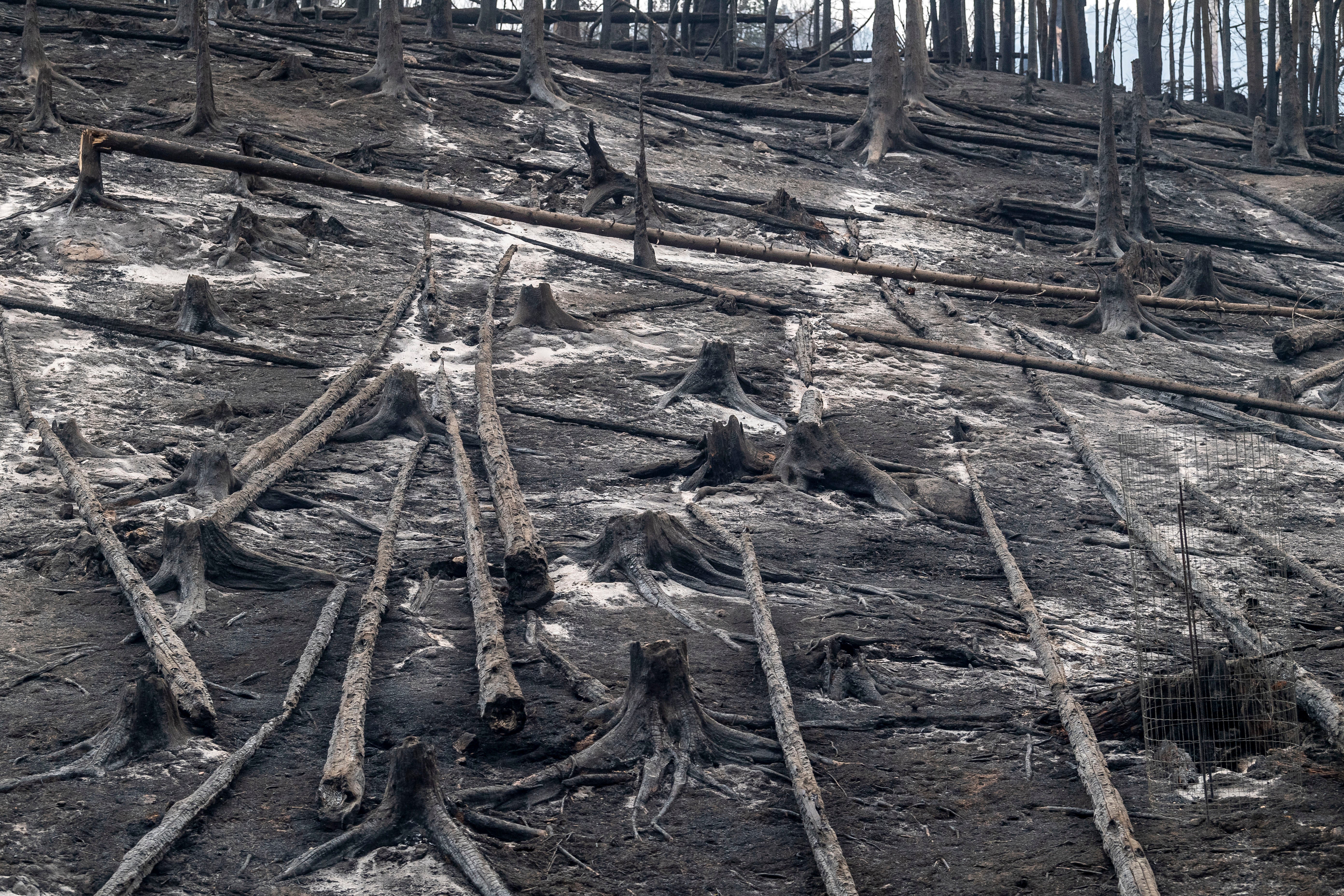 Czech Republic Wildfires