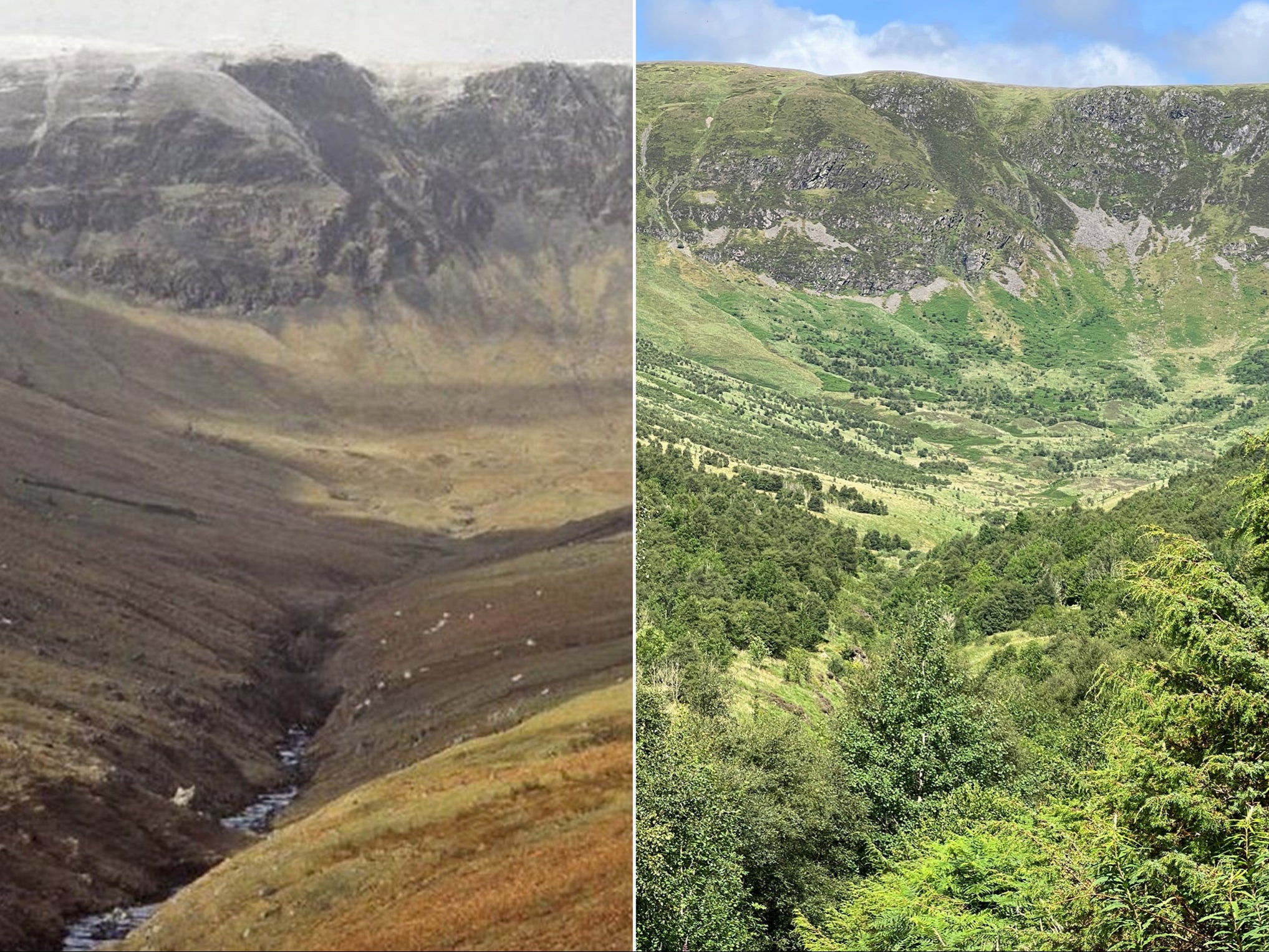 Photographs of the valley at Carrifran in Scotland’s Southern Uplands, taken 23 years apart, after a rewilding project returned native species of trees following centuries of overgrazing