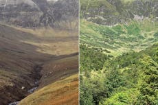 Rewilding: Before and after photos reveal stunning transformation of Scottish glen